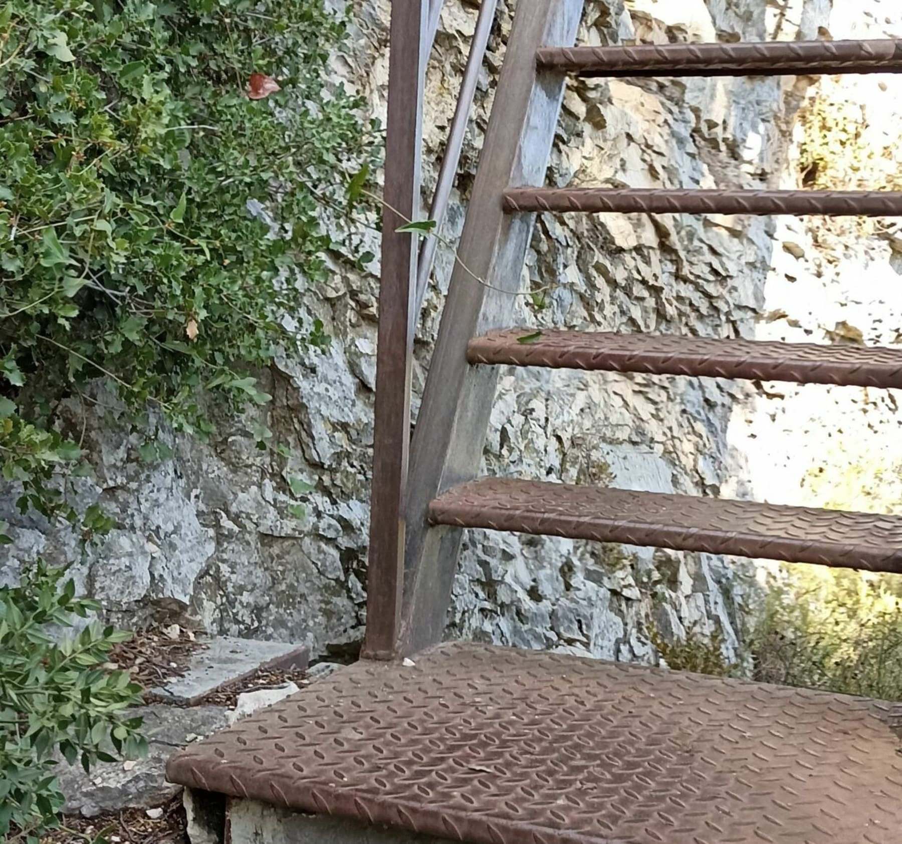 Randonnée Saint-Rémy-de-Provence - Boucle cimetière juif par le mont Gaussier