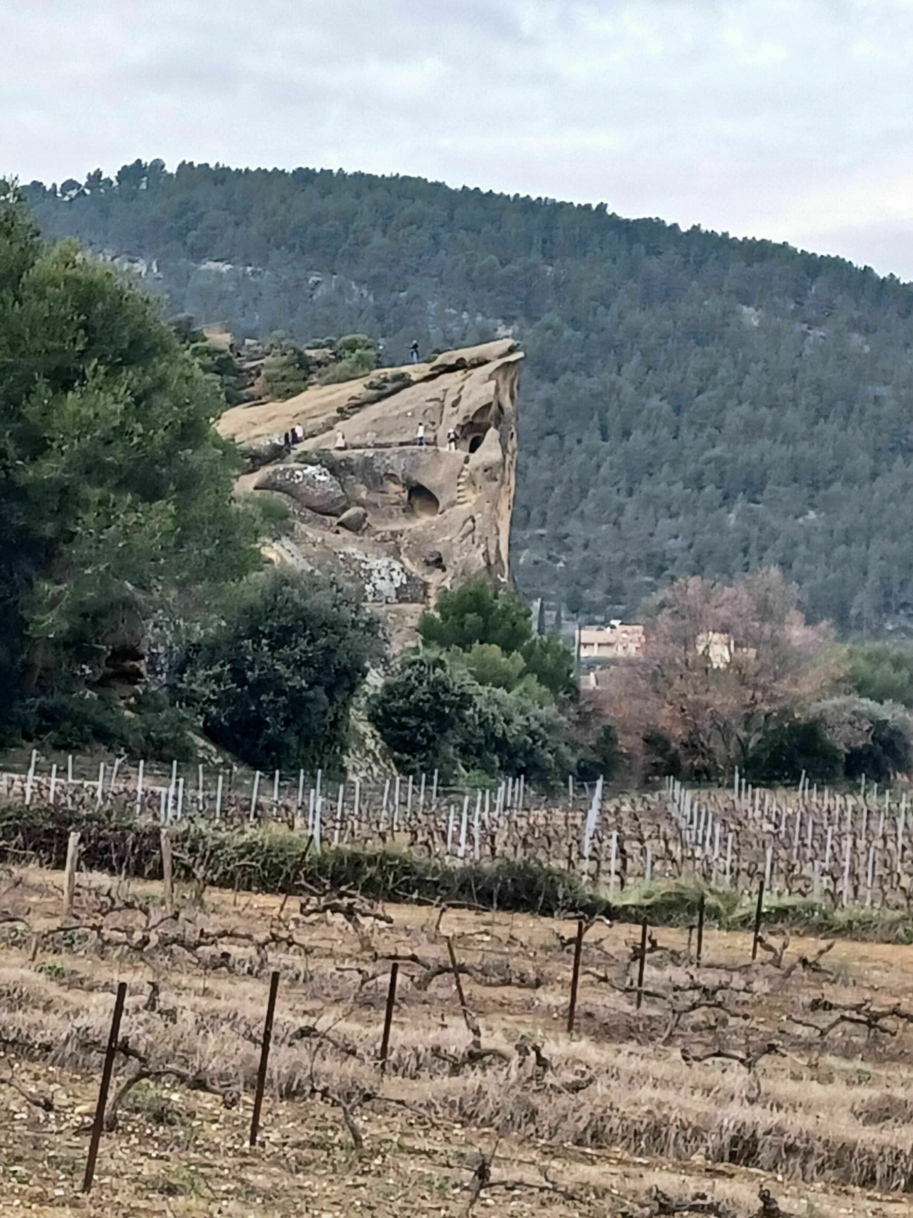 Randonnée Caromb - Tour des dentelles de Montmirail par la route