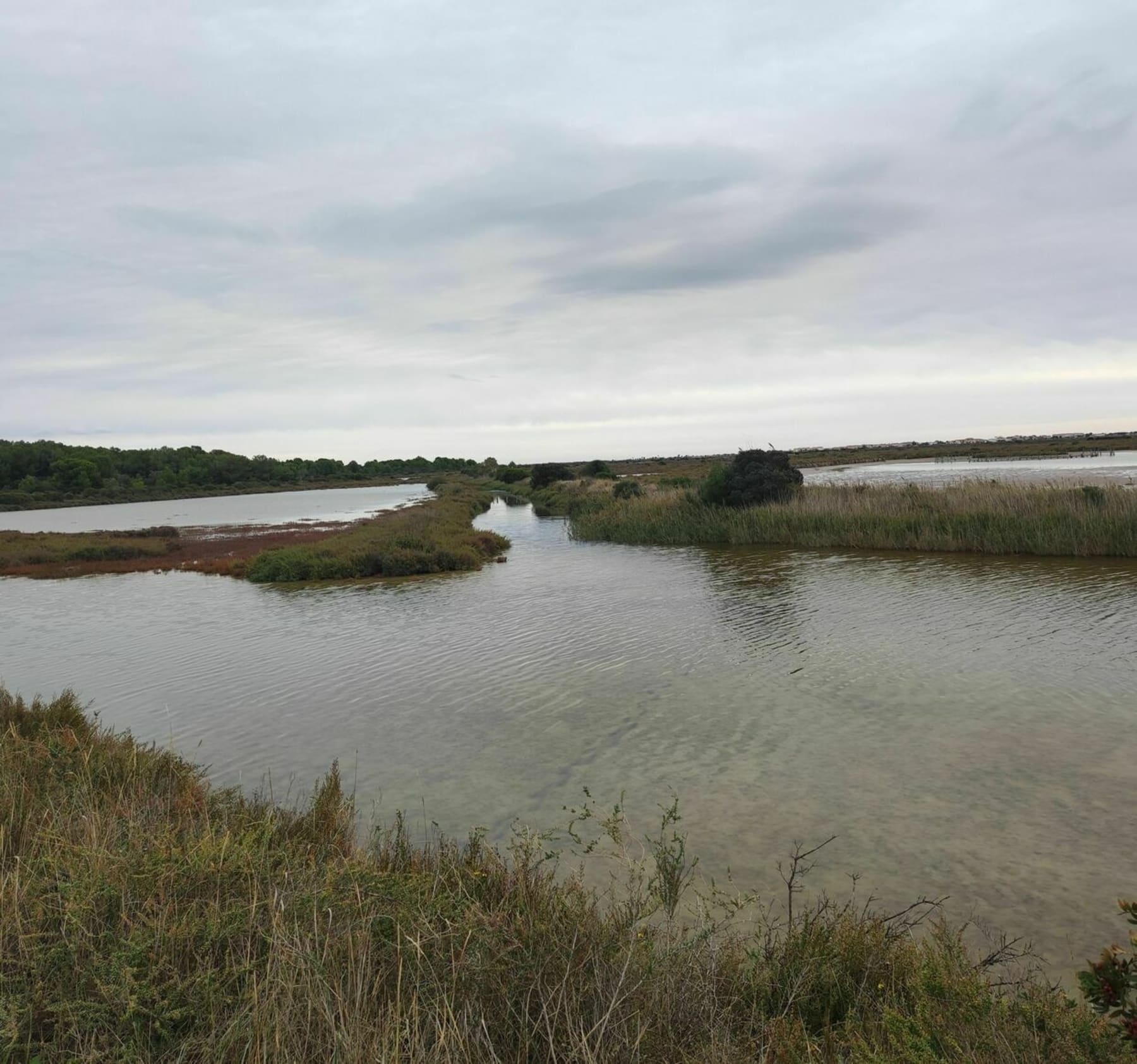 Randonnée Frontignan - Salins de Frontignan