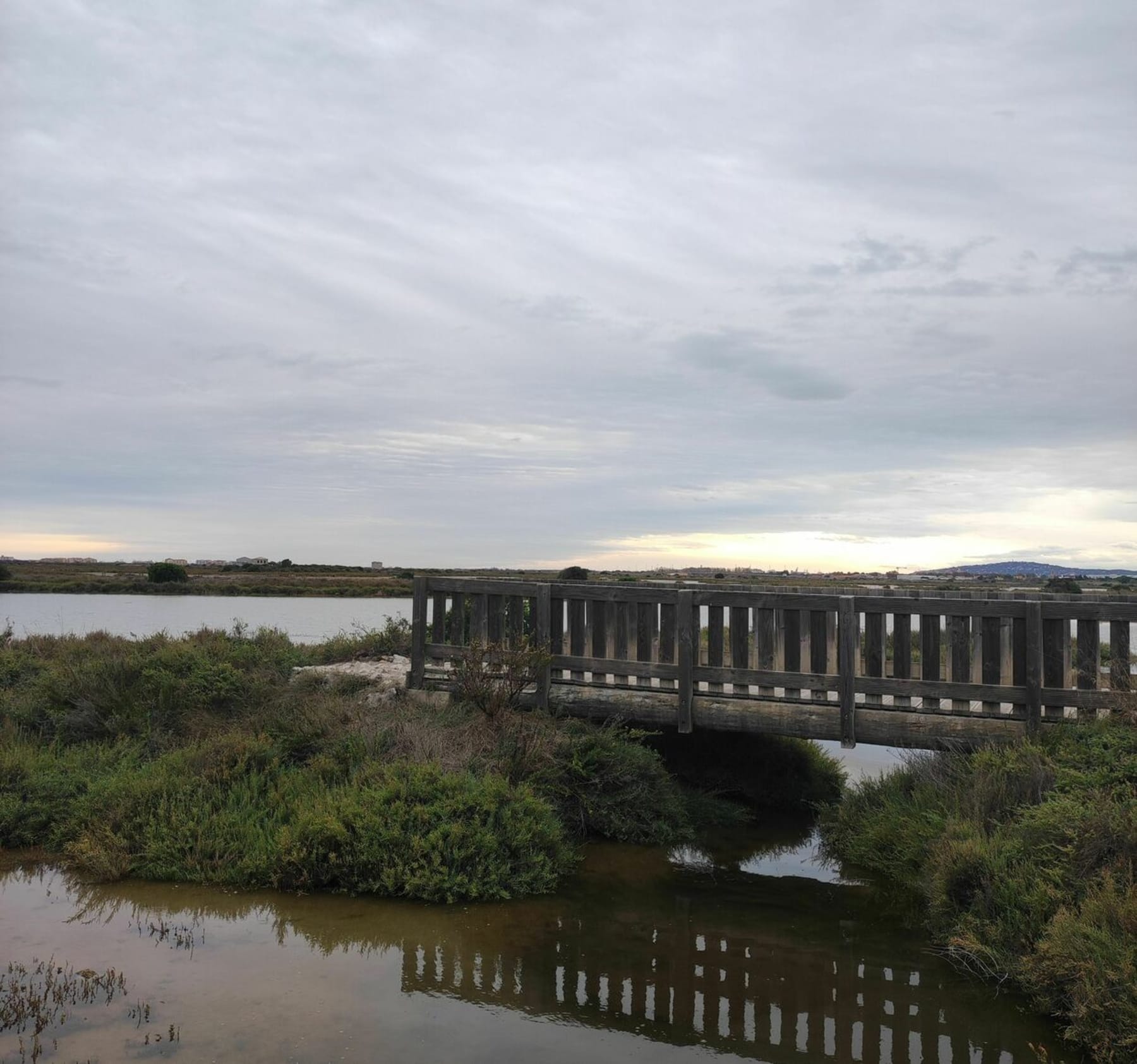 Randonnée Frontignan - Salins de Frontignan