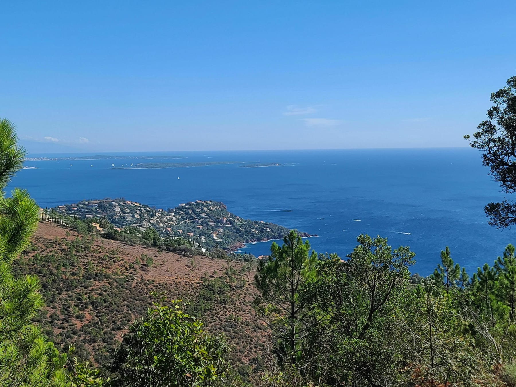 Randonnée Mandelieu-la-Napoule - VTT dans l'Esterel vers le pic du Loup