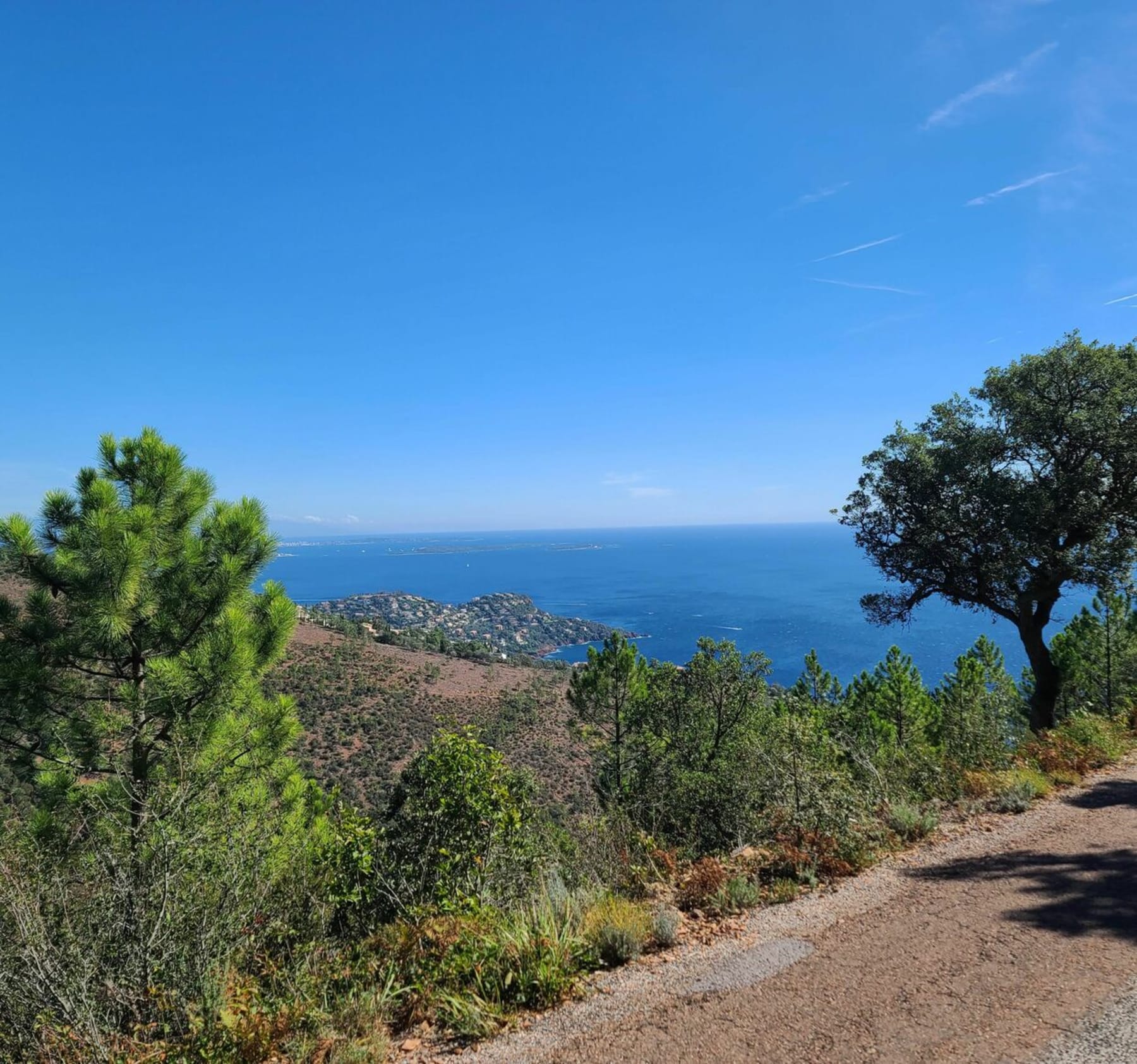 Randonnée Mandelieu-la-Napoule - VTT dans l'Esterel vers le pic du Loup