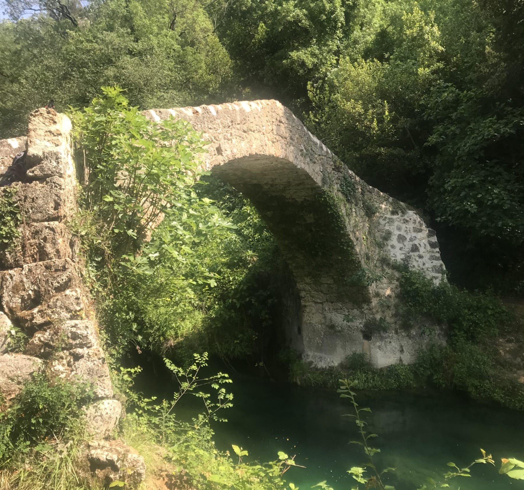 Randonnée Montauroux - Montauroux et émerveillement devant le pont des Tuves