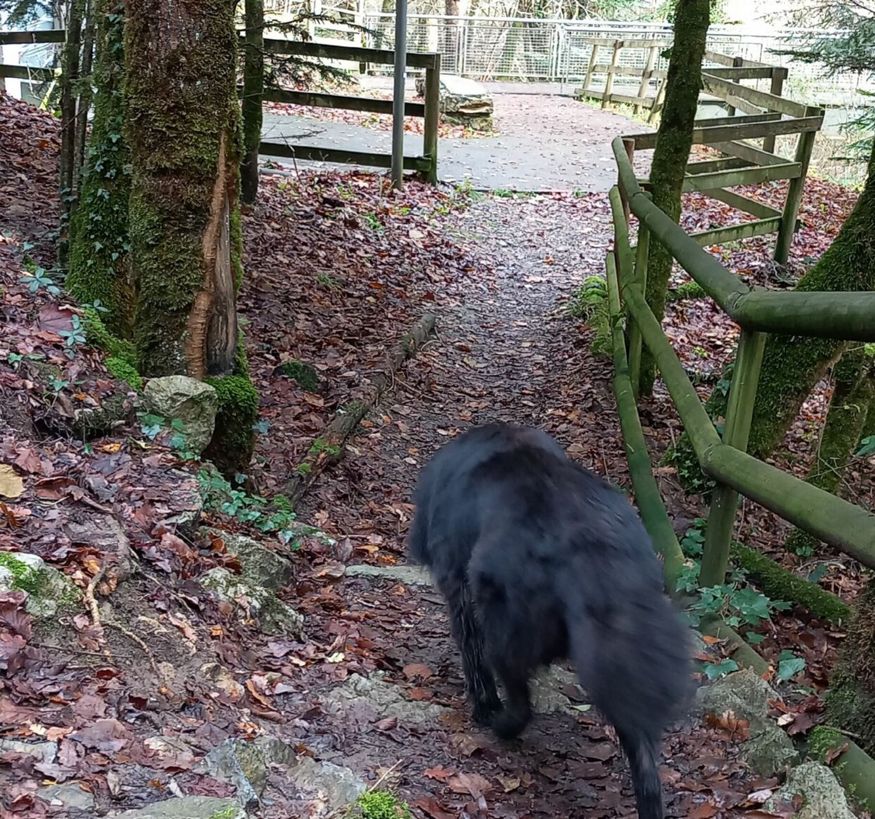 Randonnée Fougax-et-Barrineuf - Fontaine intermittente de Fontestorbes