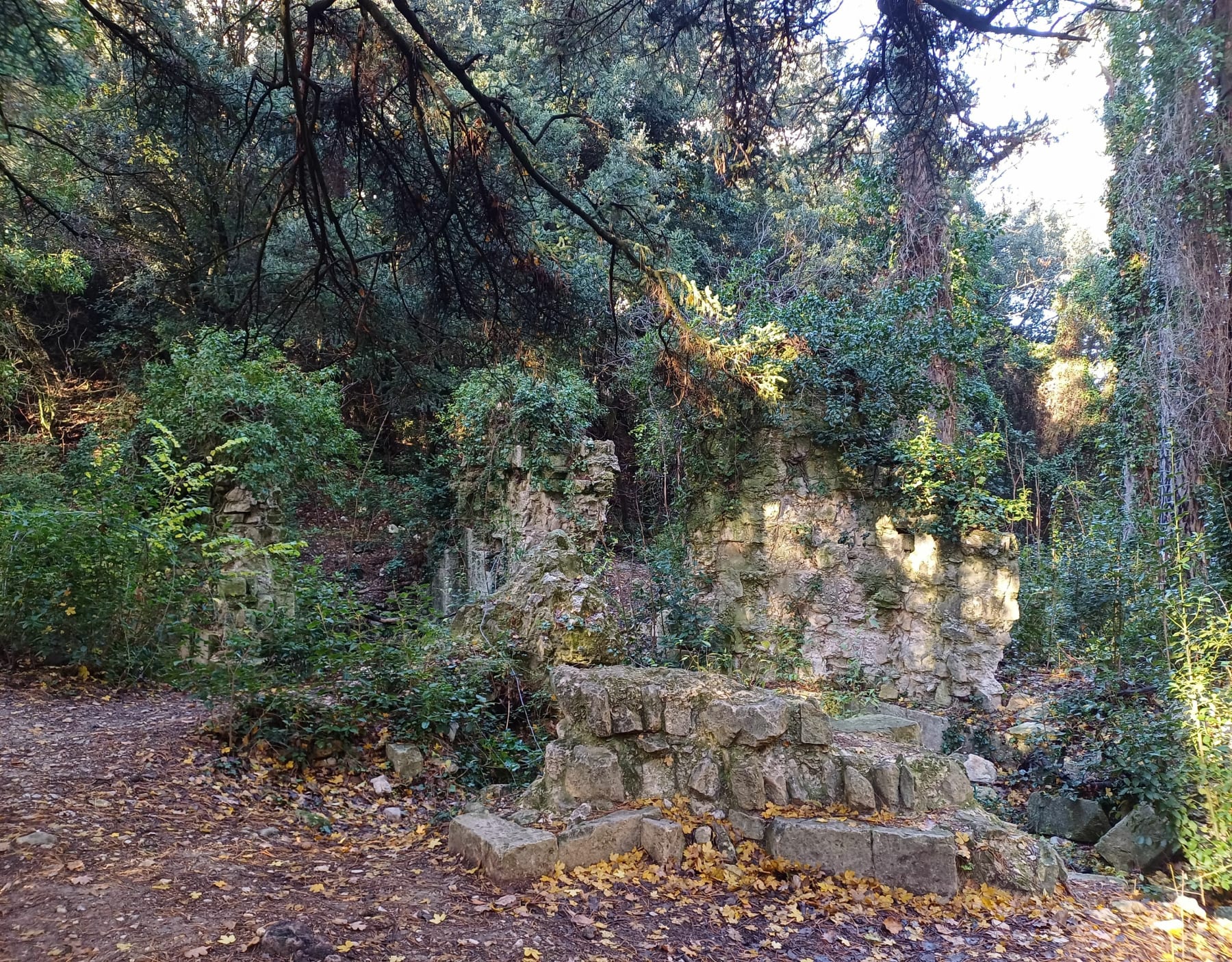 Randonnée Saint-Rémy-de-Provence - Sentier des échelles par Mont Gaussier et la Chapelle