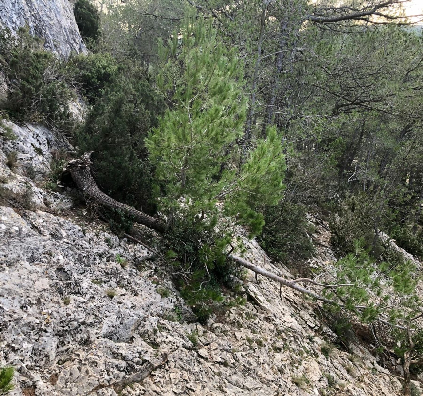 Randonnée Saint-Rémy-de-Provence - Grotte et lac des Peirou