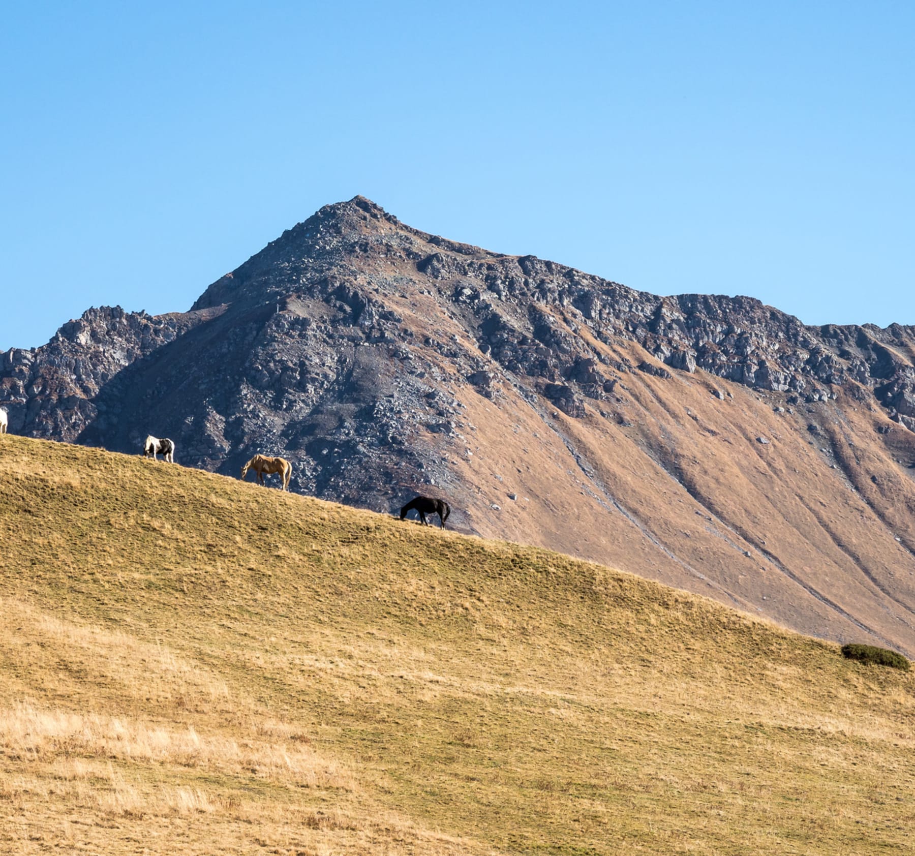 Randonnée La Chambre - Ascension du Col de la Madeleine