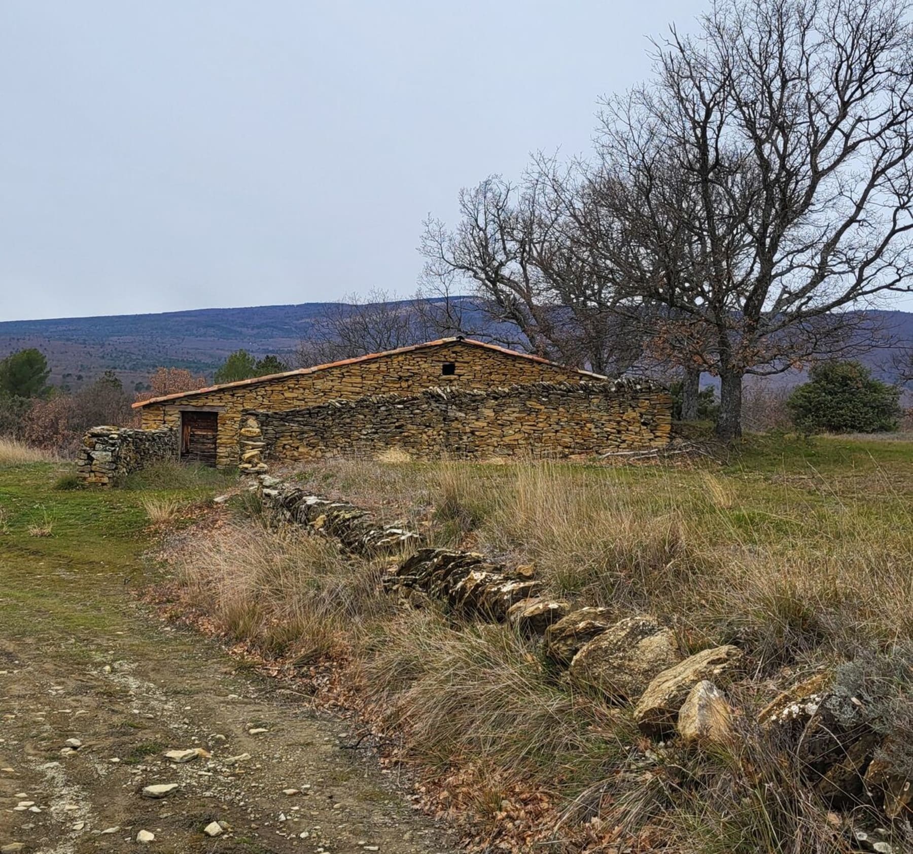 Randonnée Châteauneuf-Val-Saint-Donat - Bergerie, olivette