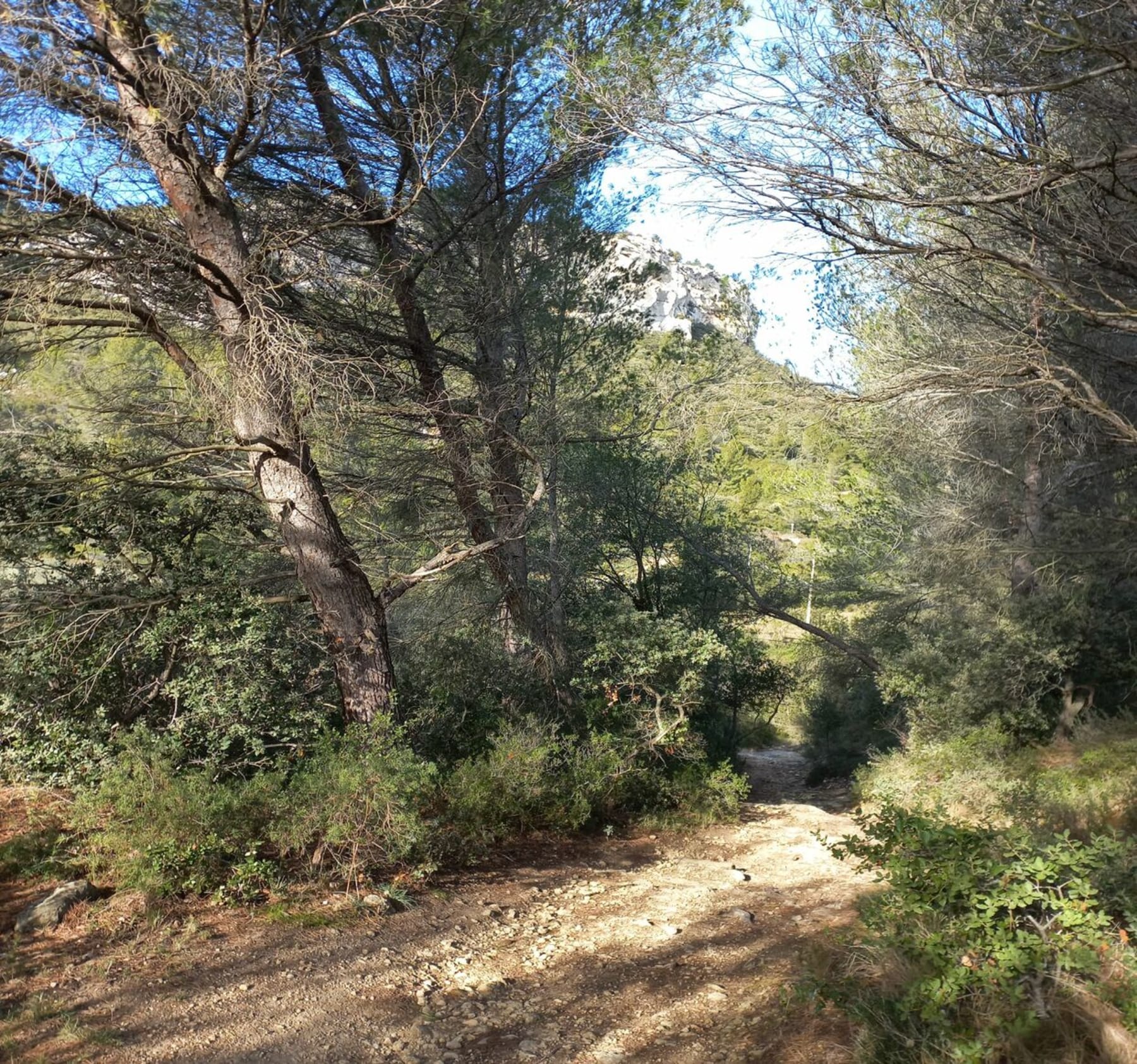 Randonnée Fontvieille - Balade au Mont Paon