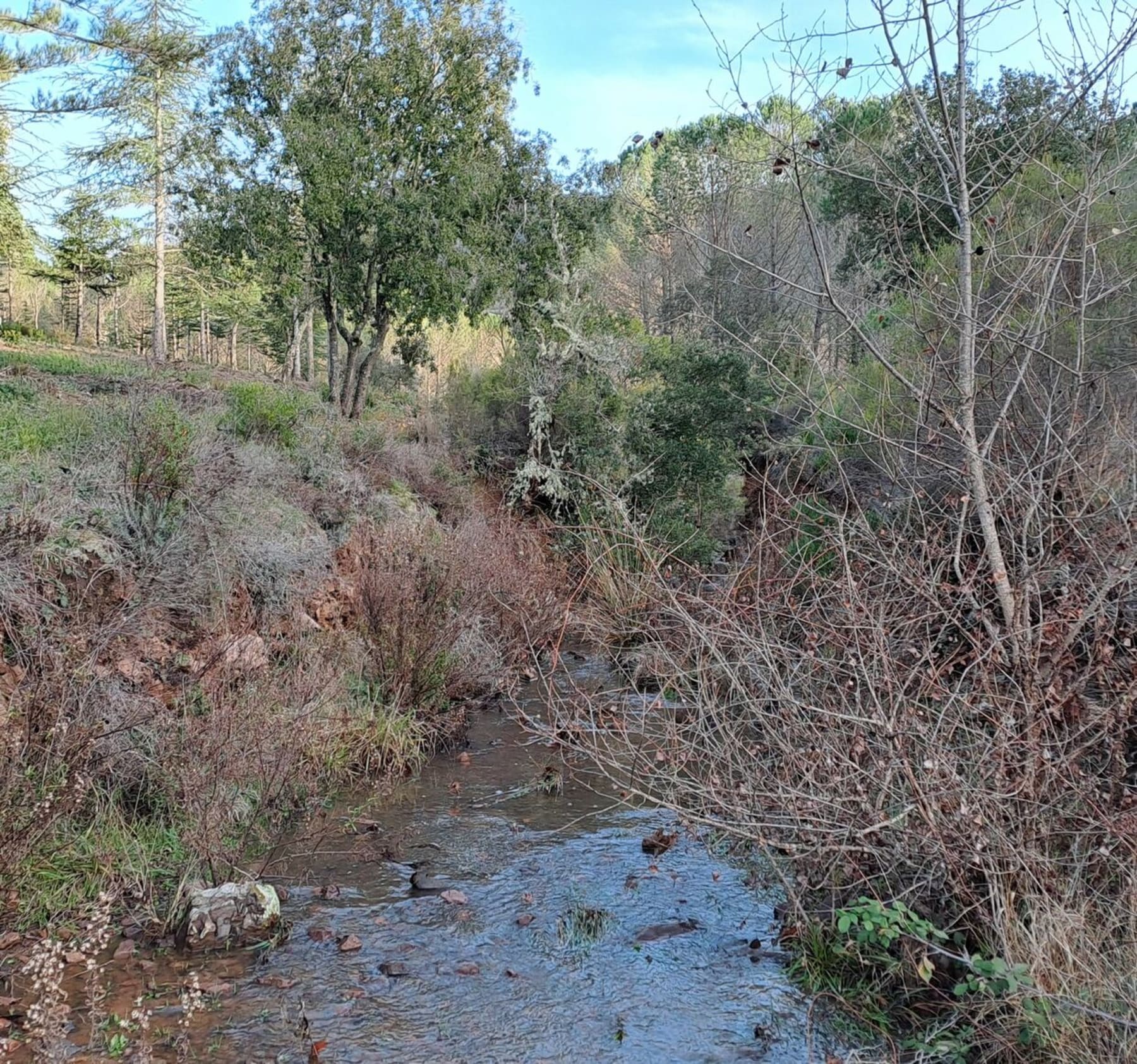 Randonnée Les Adrets-de-l'Estérel - Des Adrets au lac de l'Avellan