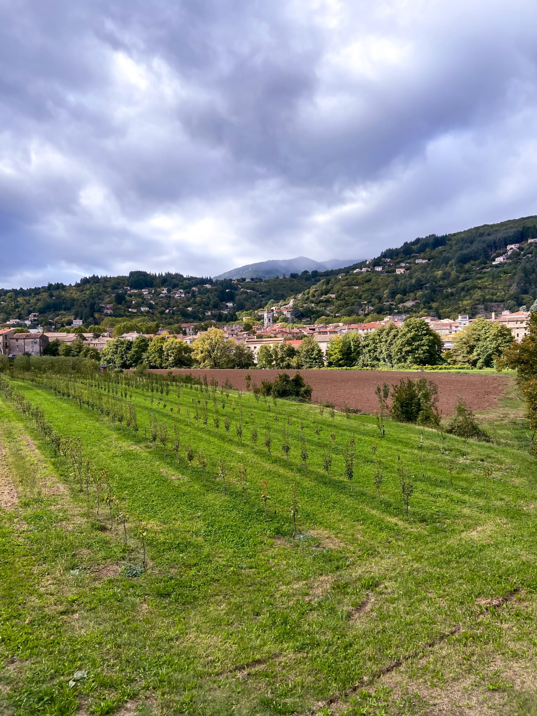 Randonnée Le Vigan - Col de la Lusette depuis le Vigan