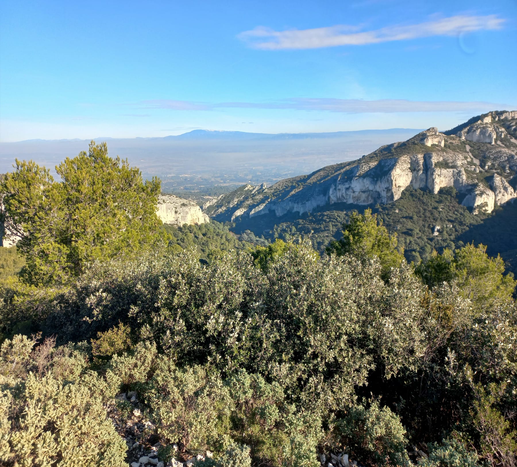 Randonnée Saint-Rémy-de-Provence - Le Versant Sud du Plateau de la Caume, crête des alpilles