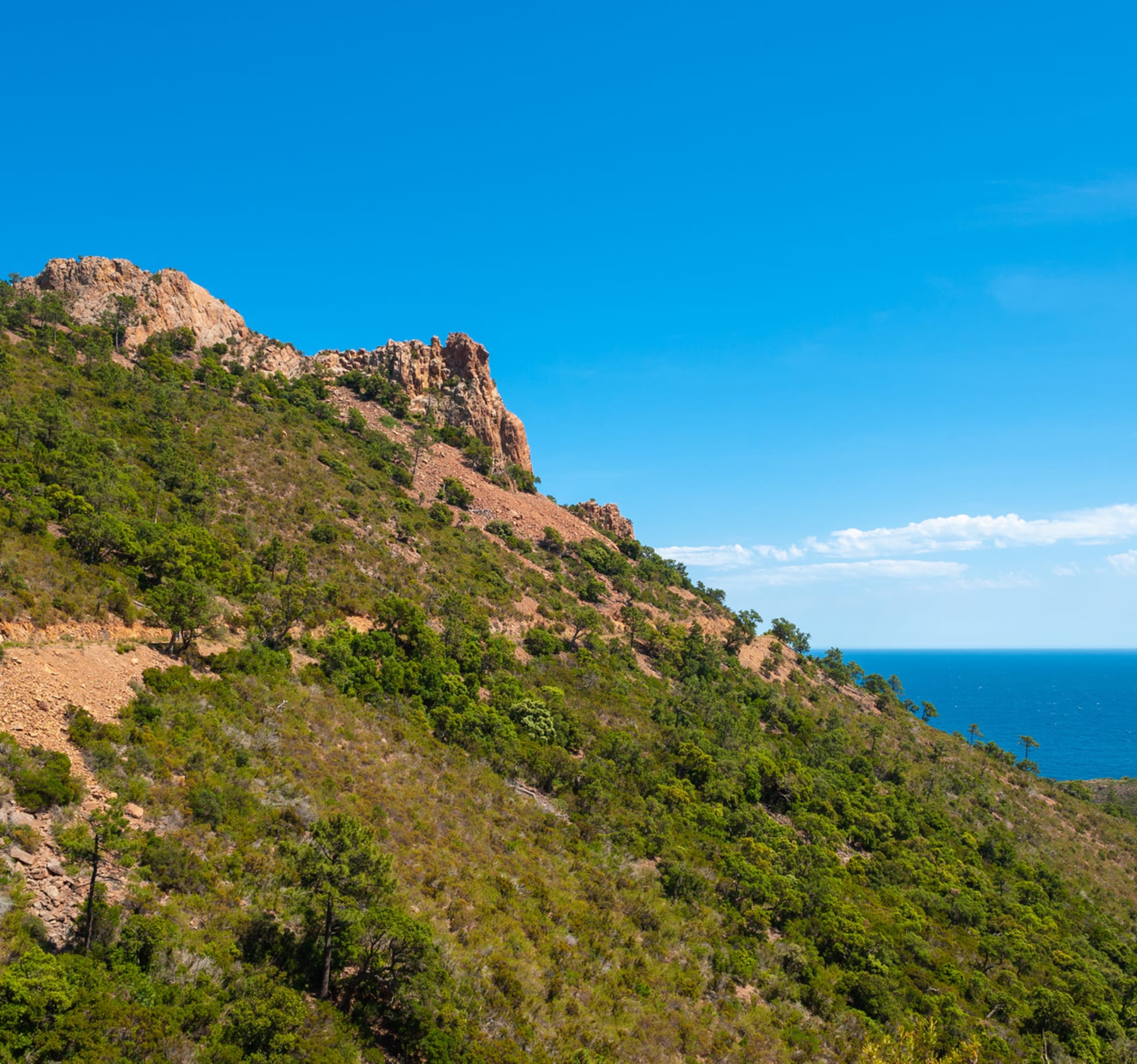 Randonnée Saint-Raphaël - Découverte de l'Estérel depuis Agay