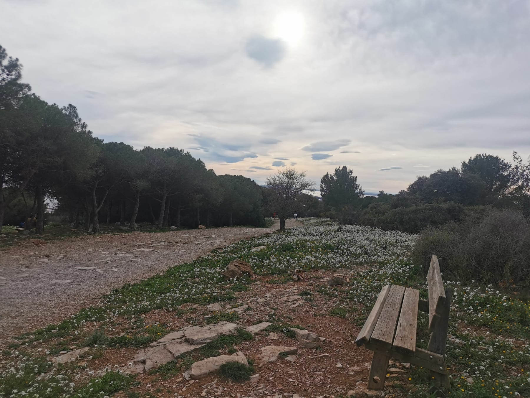 Randonnée Sète - Forêt des Pierres Blanches