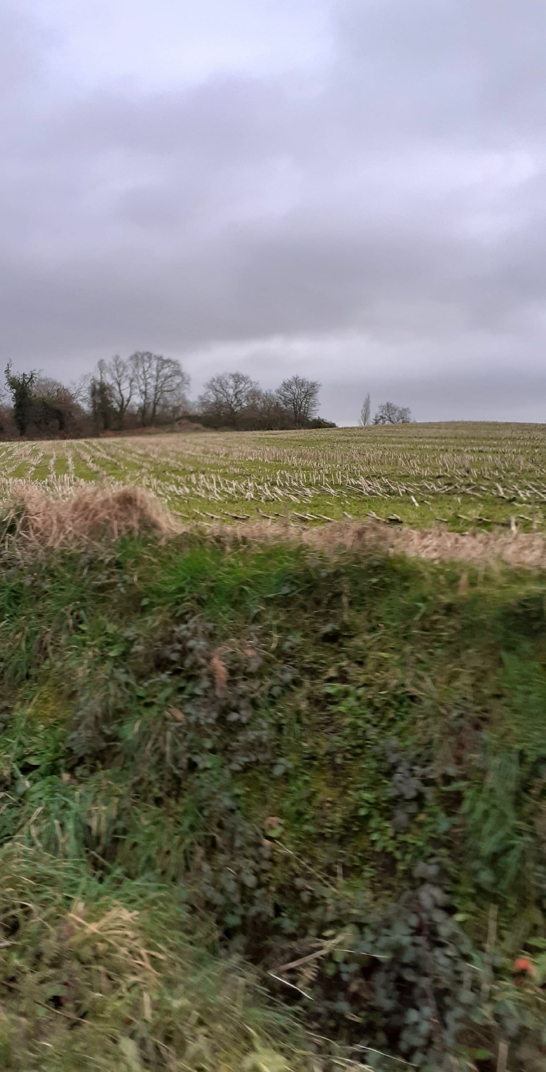 Randonnée Saint-Brandan - La boucle de Saint Brandan