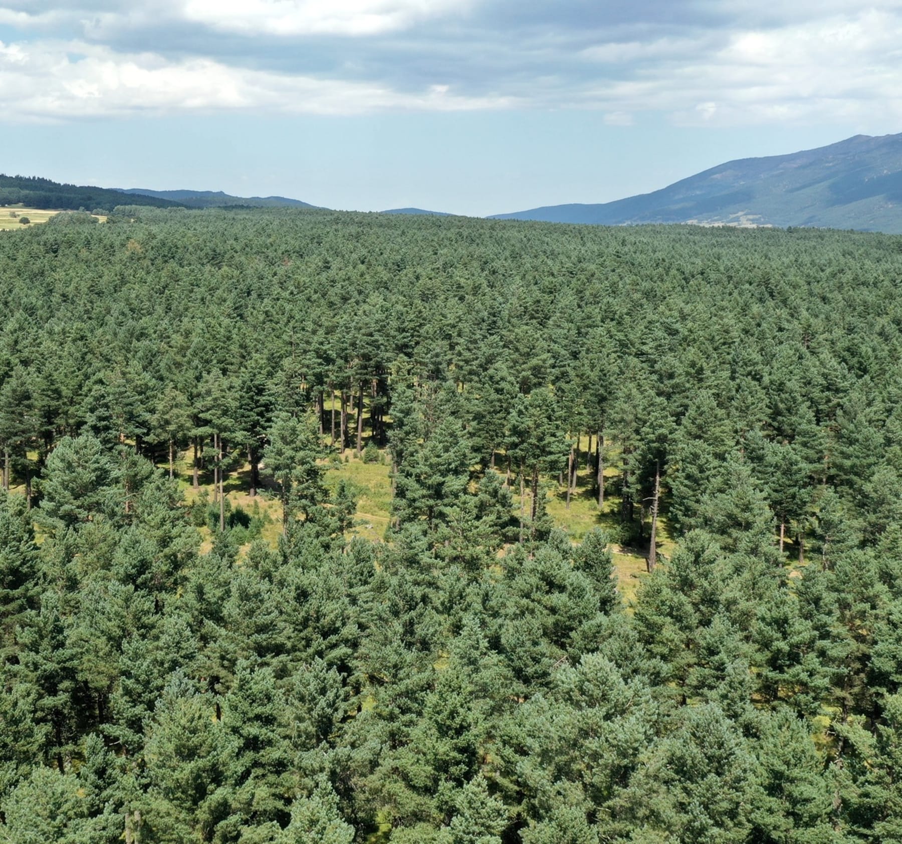 Randonnée Matemale - Boucle dans la forêt de la Matte aux Angles