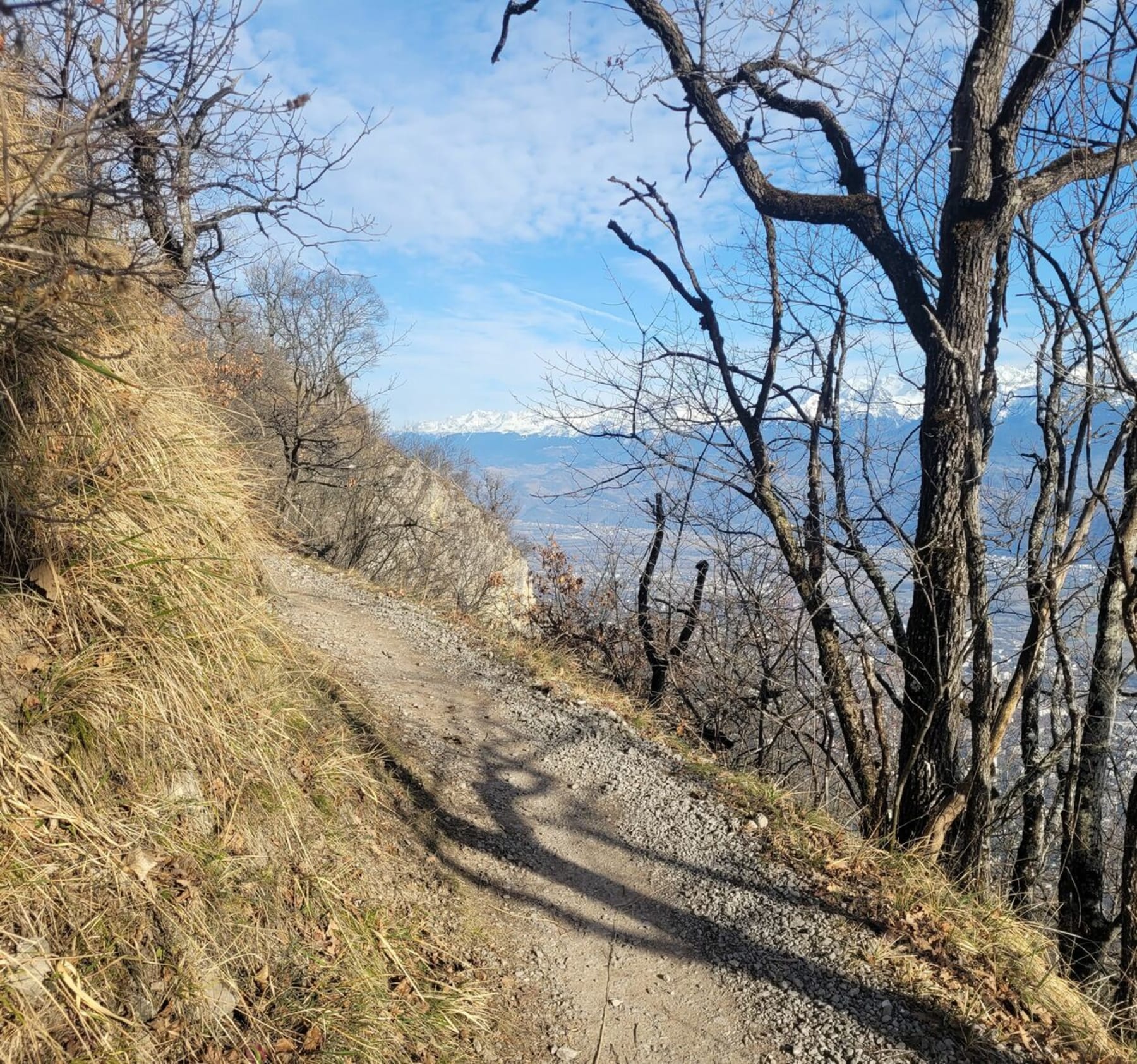 Randonnée Grenoble - Montée au Mont Rachais et panorama sur Grenoble