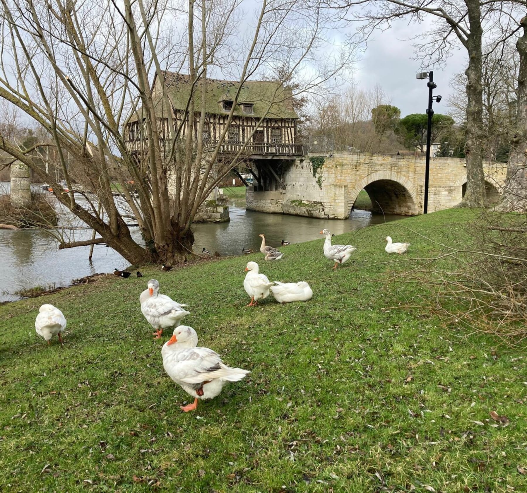 Randonnée Vernon - Balade en bord de Seine à Vernon