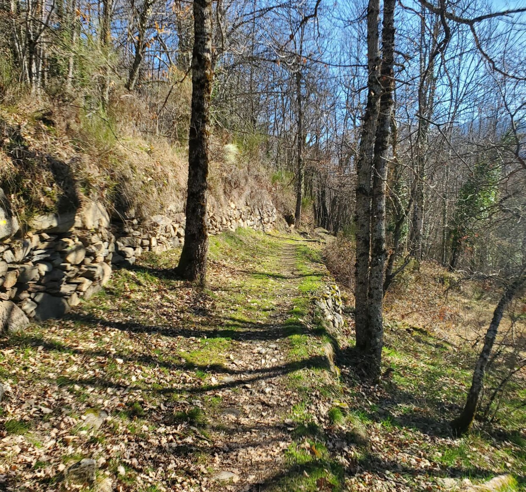 Randonnée Ax-les-Thermes - Super balade dans les bois entre Ignaux et Vaychis