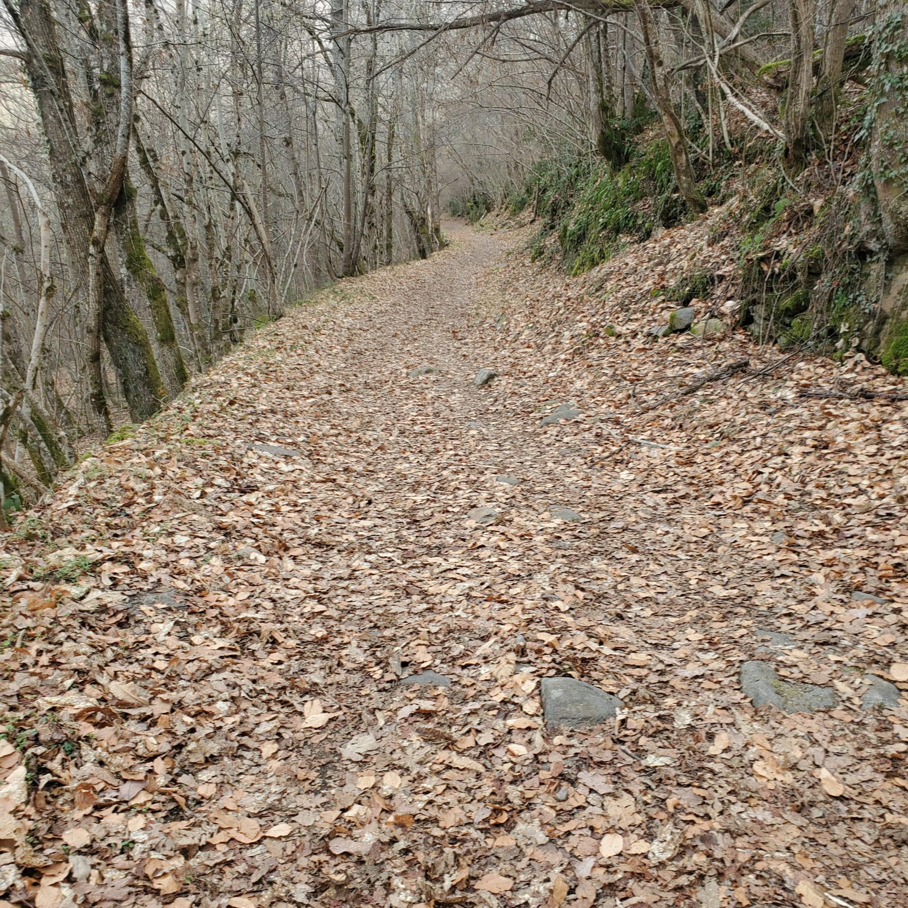 Randonnée Ax-les-Thermes - Montée au lac de Goulours