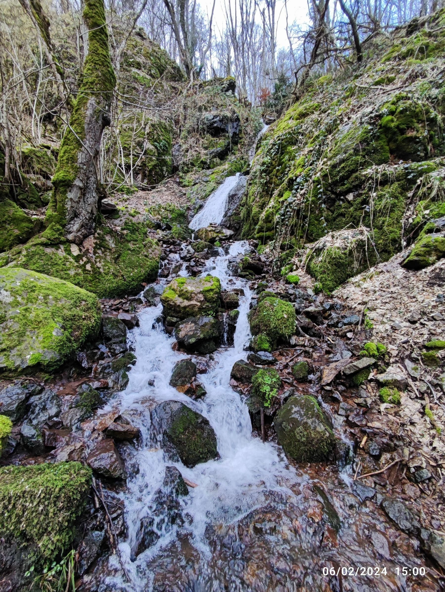 Randonnée Wattwiller - Cascade du Siehlbaechle en forêt de Wattwiller