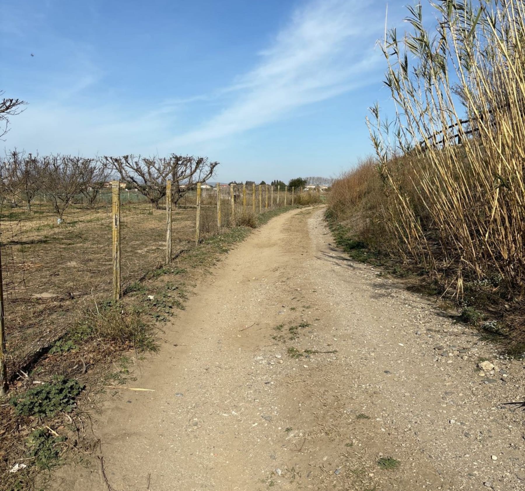 Randonnée Claira - Autour de Claira, par la Torre, le long de l'Agly