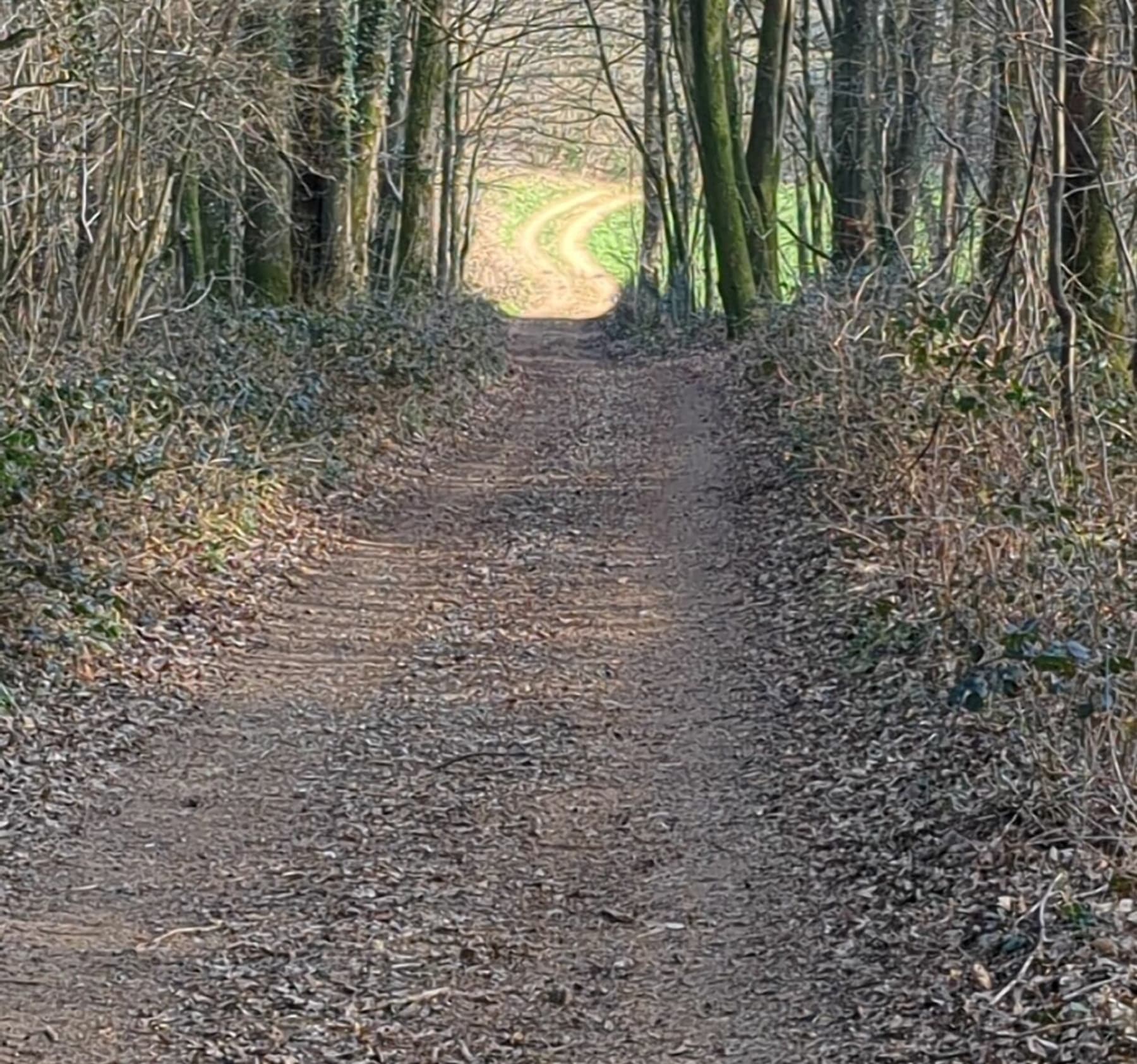 Randonnée Saint-Laurent - Balade dans les Ardennes et Bois de Ville