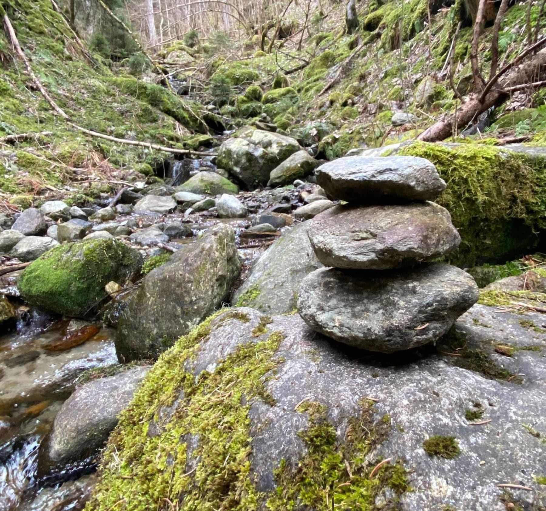 Randonnée Les Contamines-Montjoie - Sortie sur les bas des Contamines