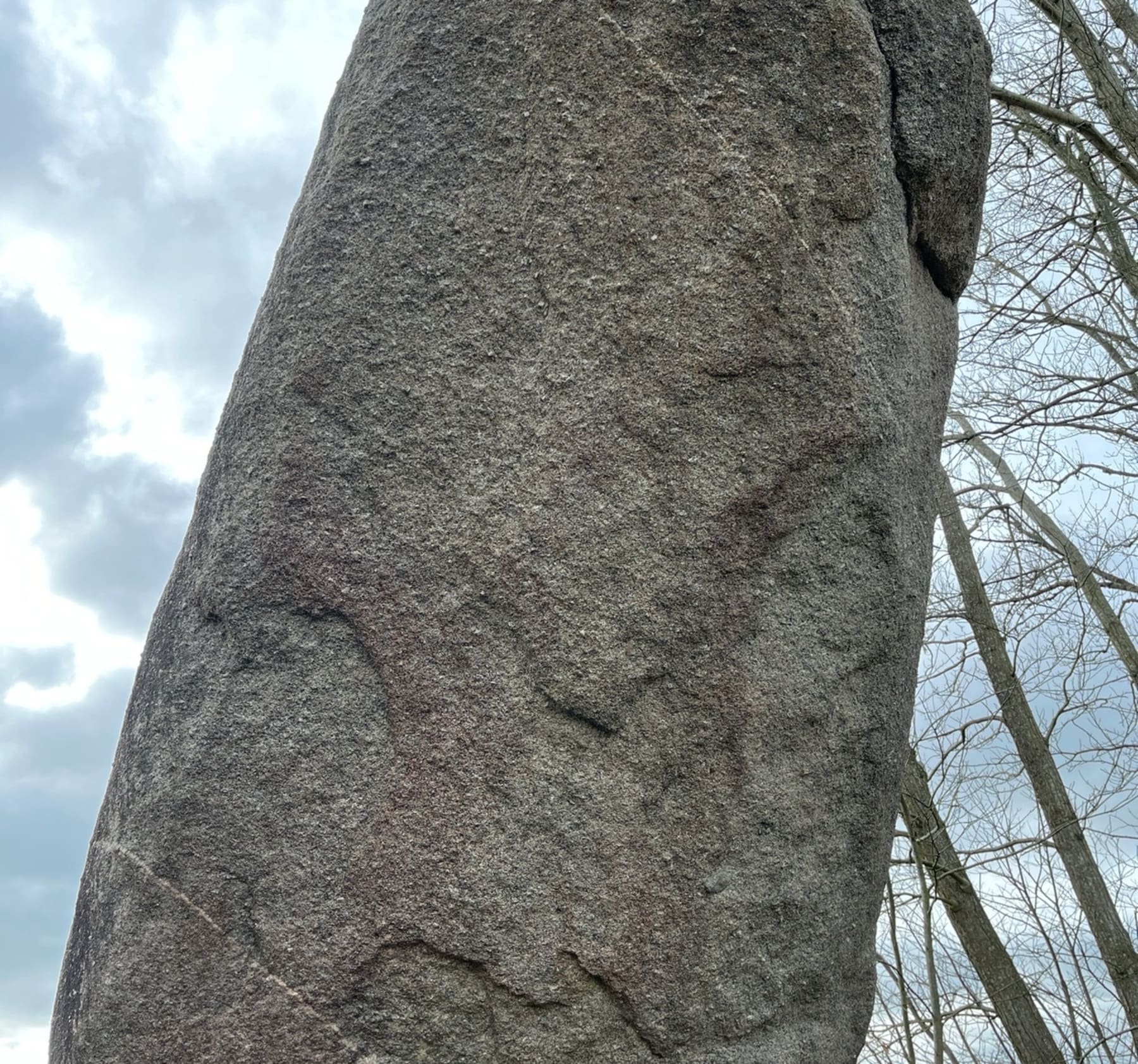 Randonnée Saint-Samson-sur-Rance - Balade Samsonnaise