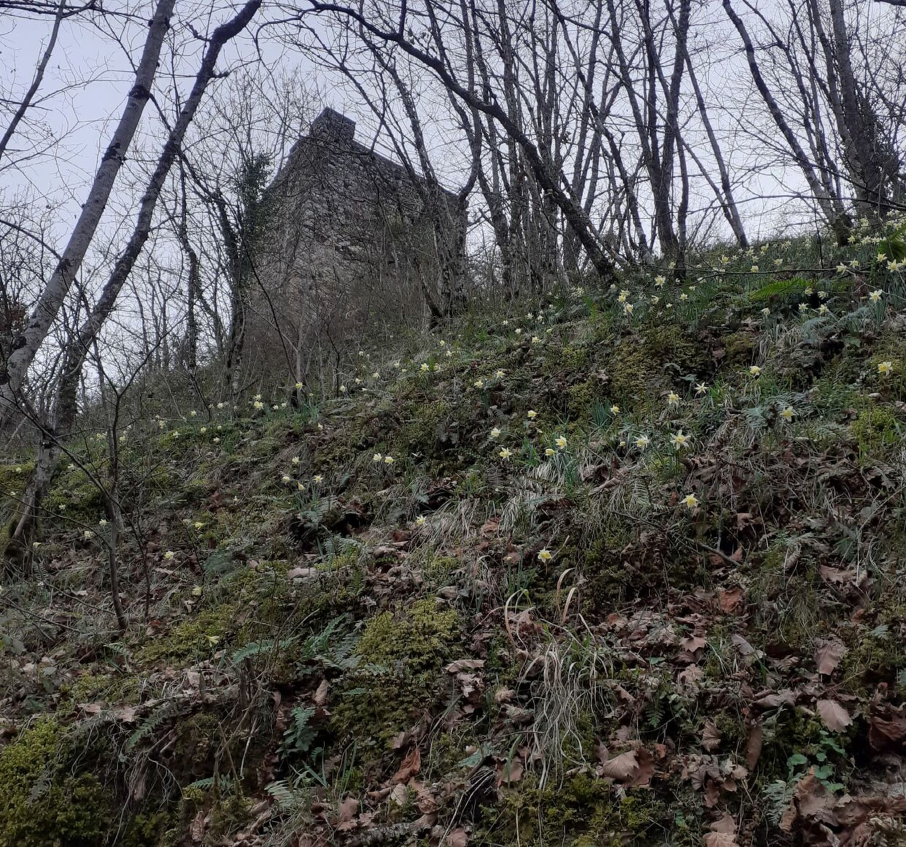 Randonnée Bagnères-de-Luchon - La tour de Castel Vielh depuis Bagnères