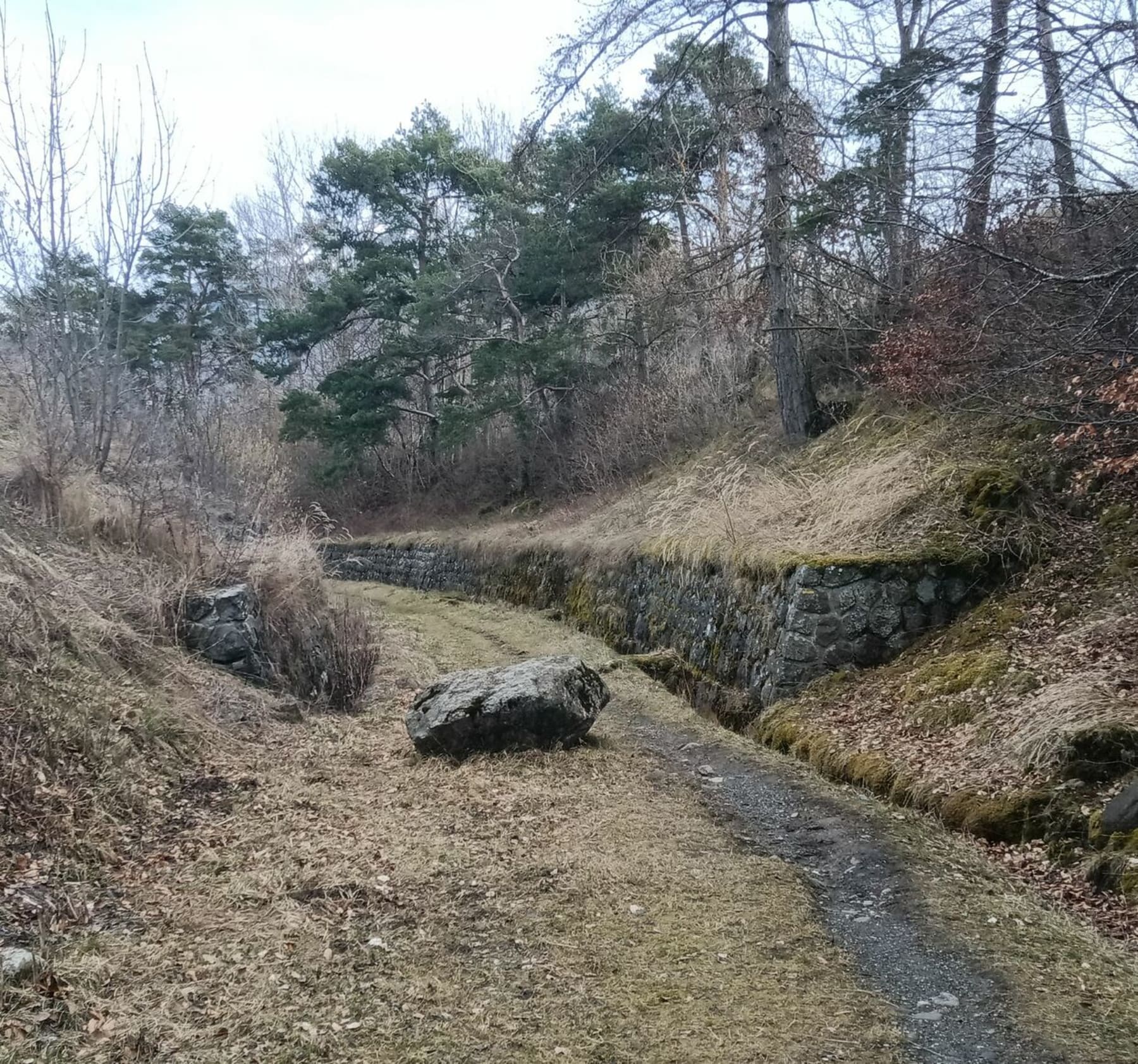 Randonnée Forest-Saint-Julien - Sur les traces du train de Gap à Corps