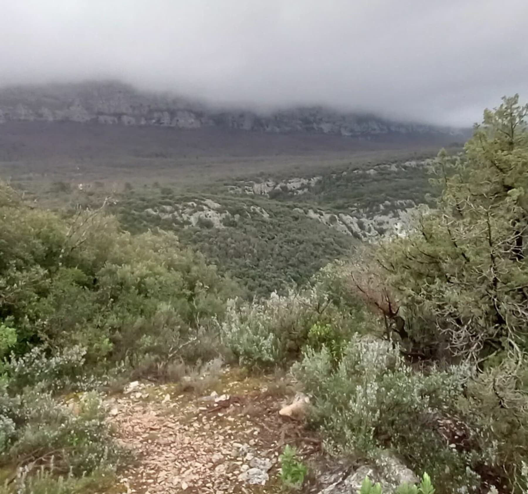 Randonnée Nans-les-Pins - Montée à la grotte Mistral par des sentes méconnues