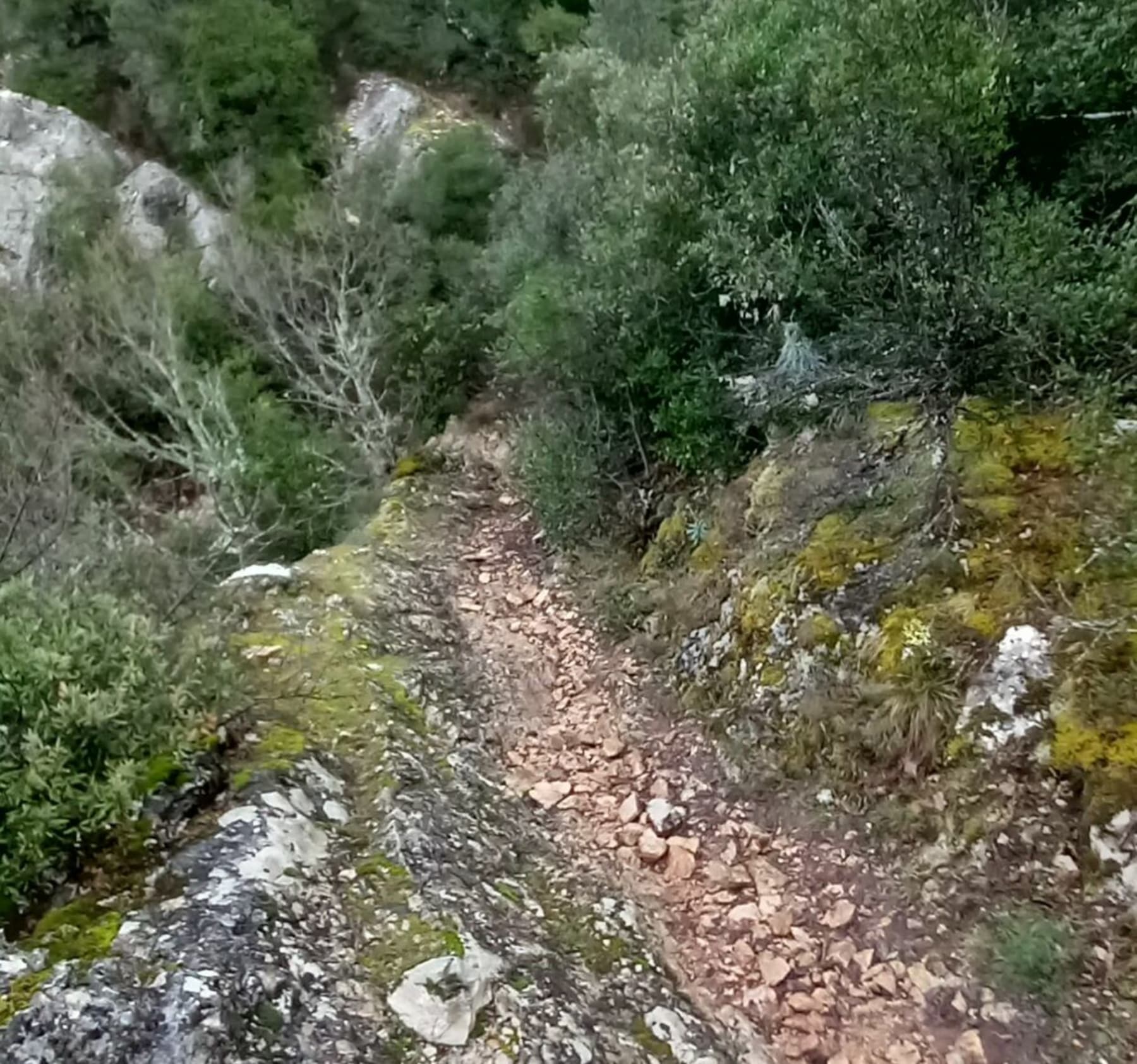 Randonnée Nans-les-Pins - Montée à la grotte Mistral par des sentes méconnues