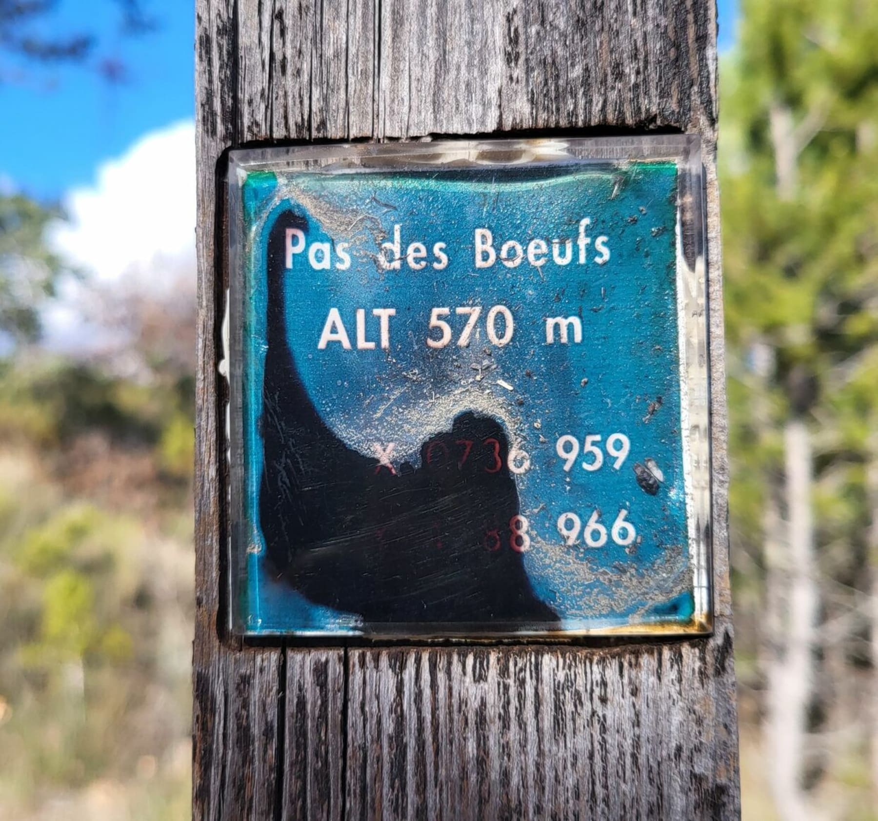 Randonnée Aubignosc - Le Forest d'Aubignosc