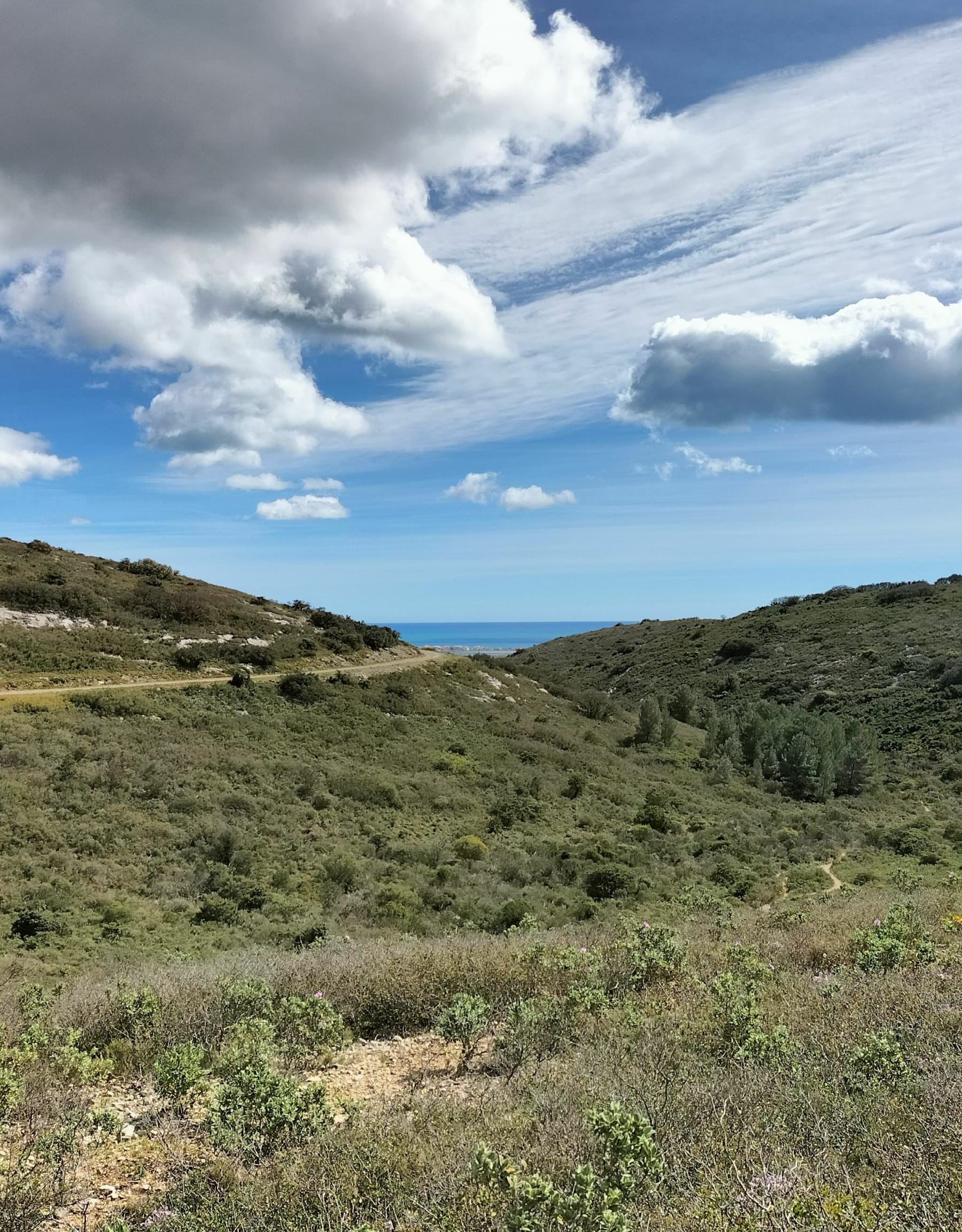 Randonnée Frontignan - La Gardiole - Frontignan