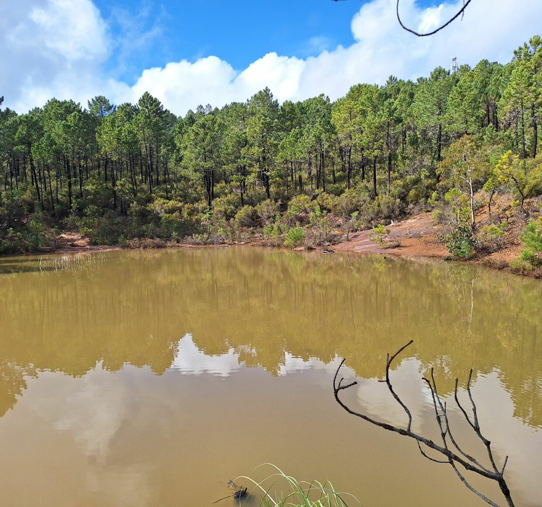 Randonnée Mandelieu-la-Napoule - Sortie au Lac des nénuphars