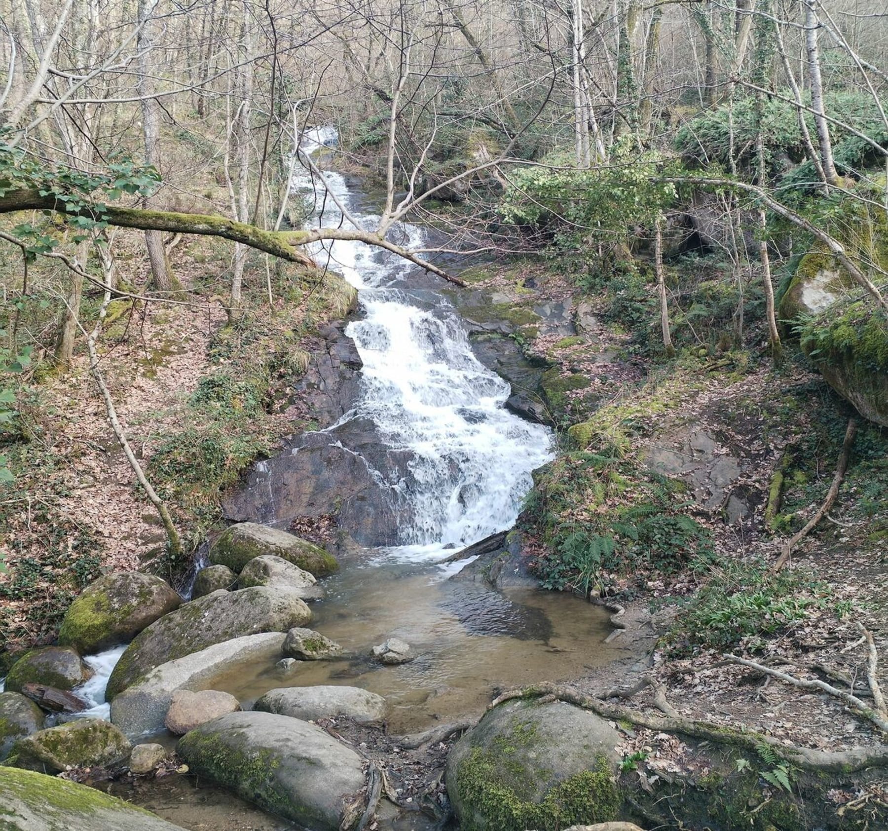 Randonnée Castres - Castres à la cascade du paradis, le long de l'Agout