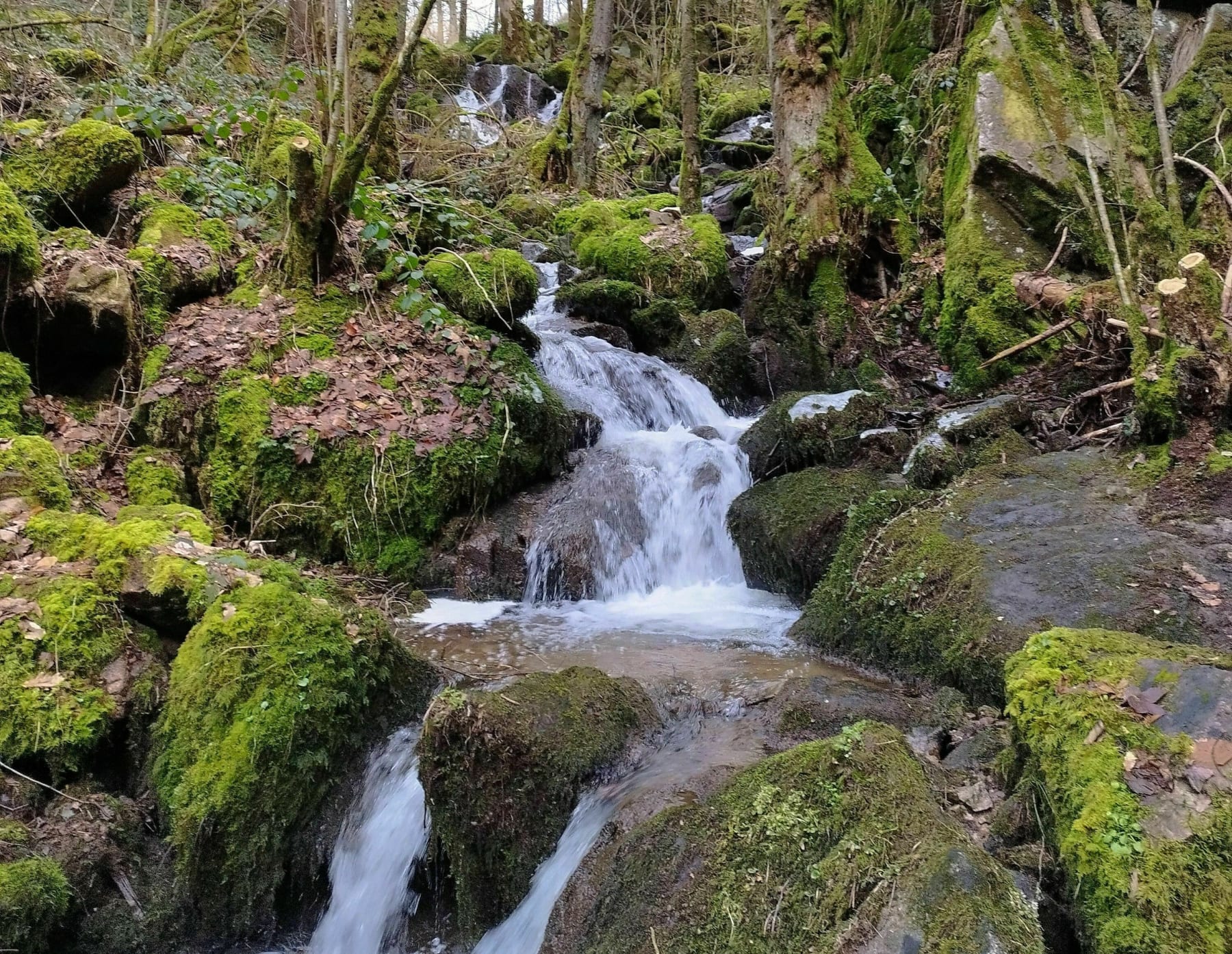 Randonnée Gérardmer - Randonnée au Saut de la Bourrique