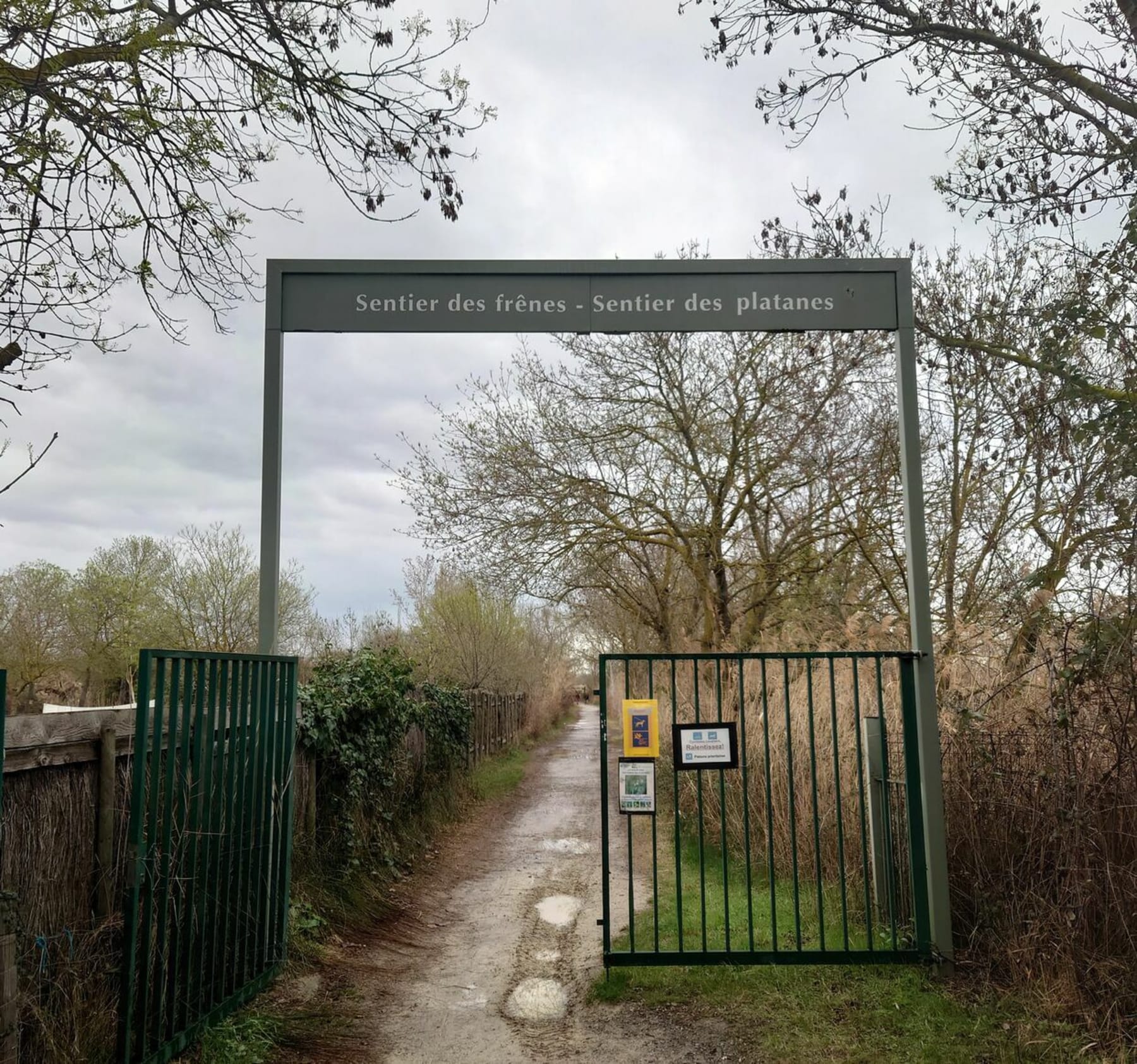 Randonnée Lattes - Sentier des frênes et Sentier des platanes et le Maupas