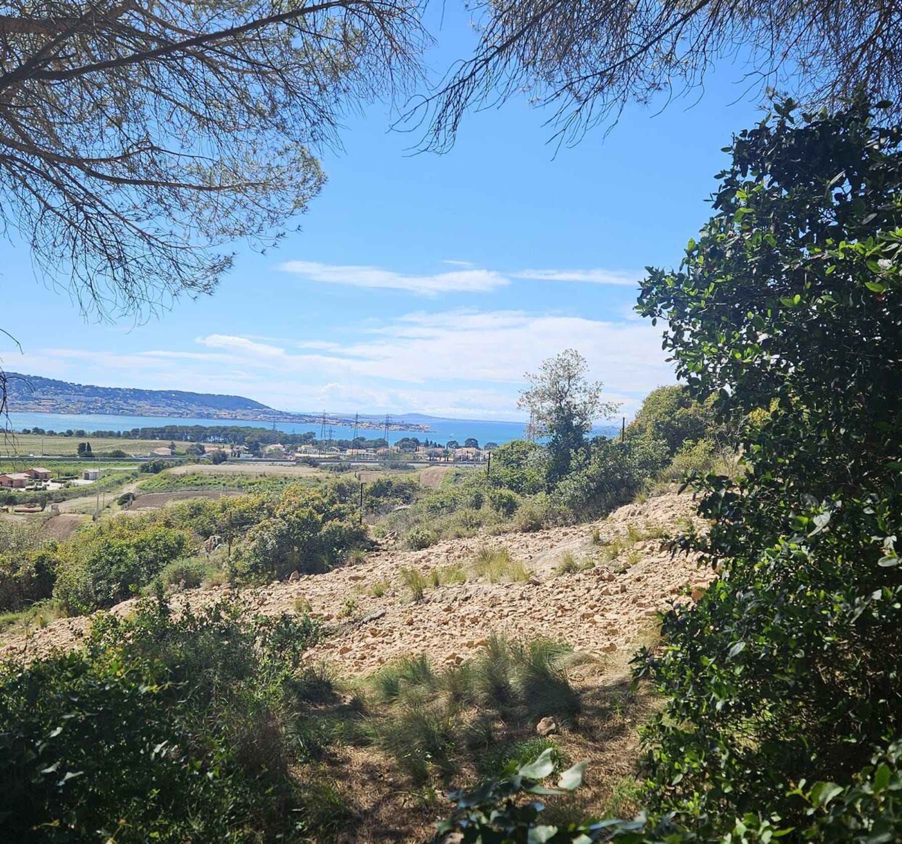 Randonnée Frontignan - Le chemin des lucioles