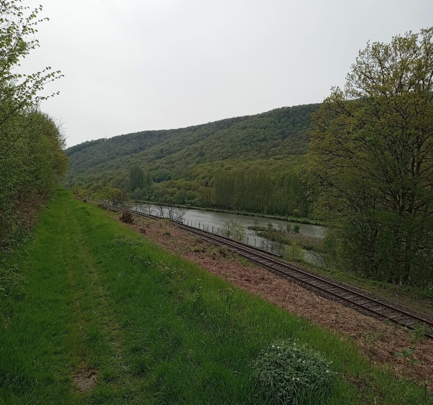 Randonnée Nouzonville - Des Bois de Nouzonville du Maroc à la Mangeante à Joigny