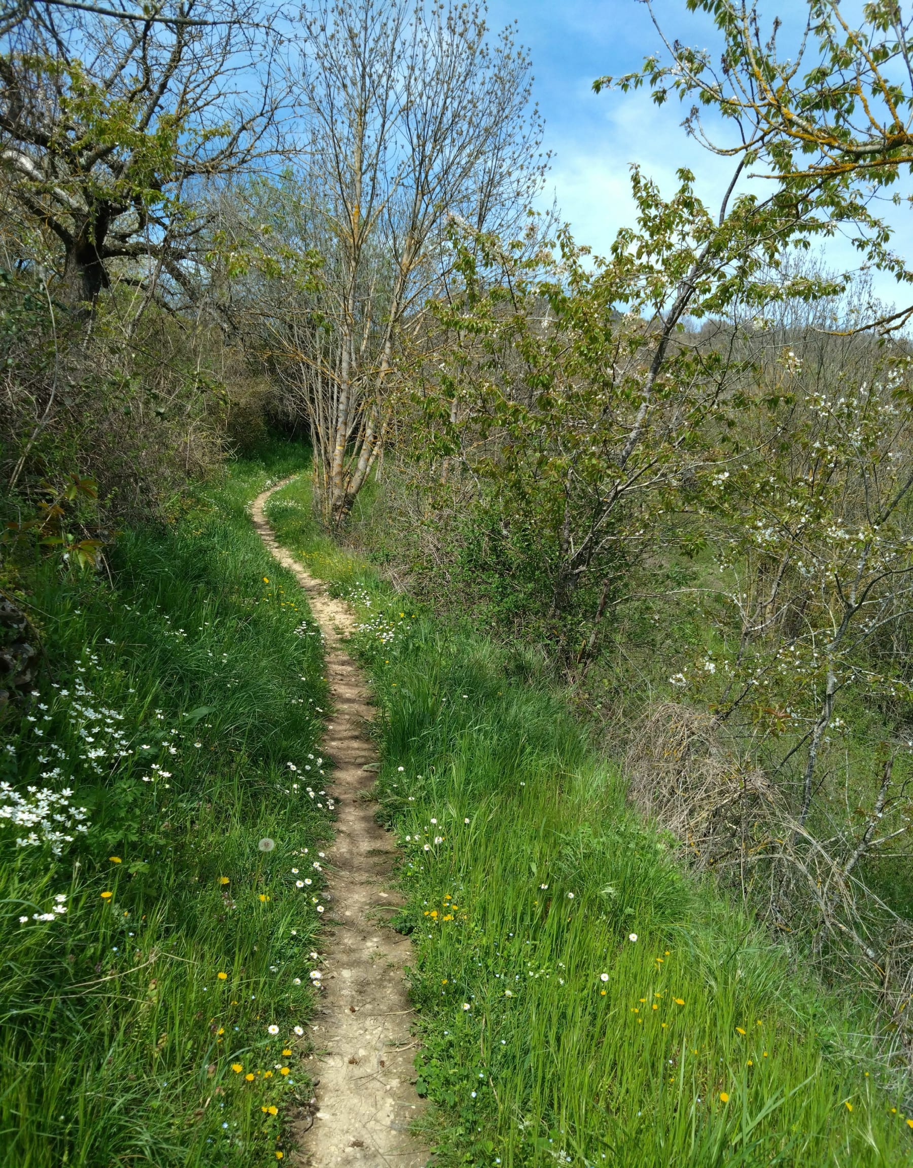 Randonnée Compeyre - Balade à Compeyre