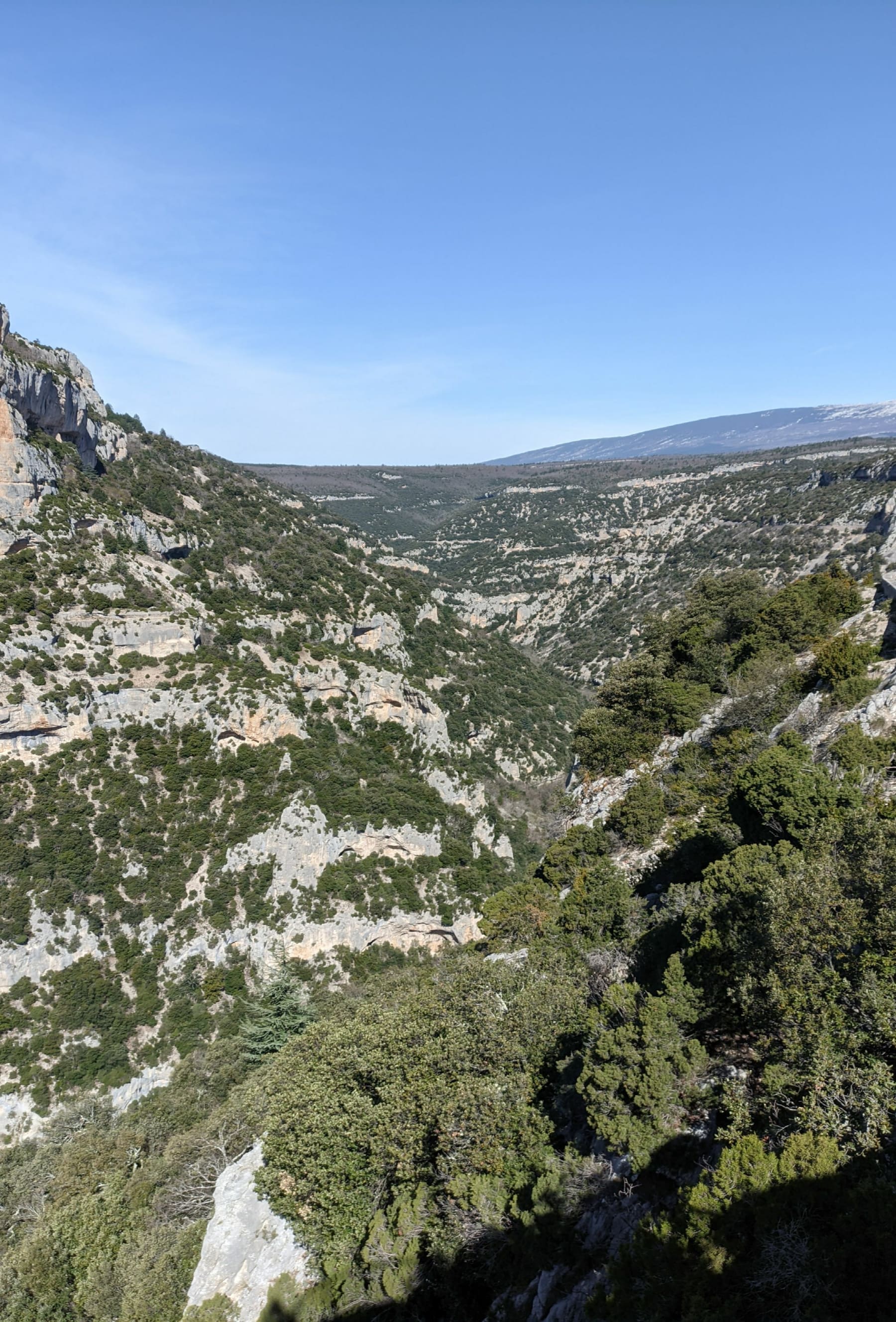 Randonnée Villes-sur-Auzon - Villes sur Auzon,Col des Abeilles et Gorges de la Nesque