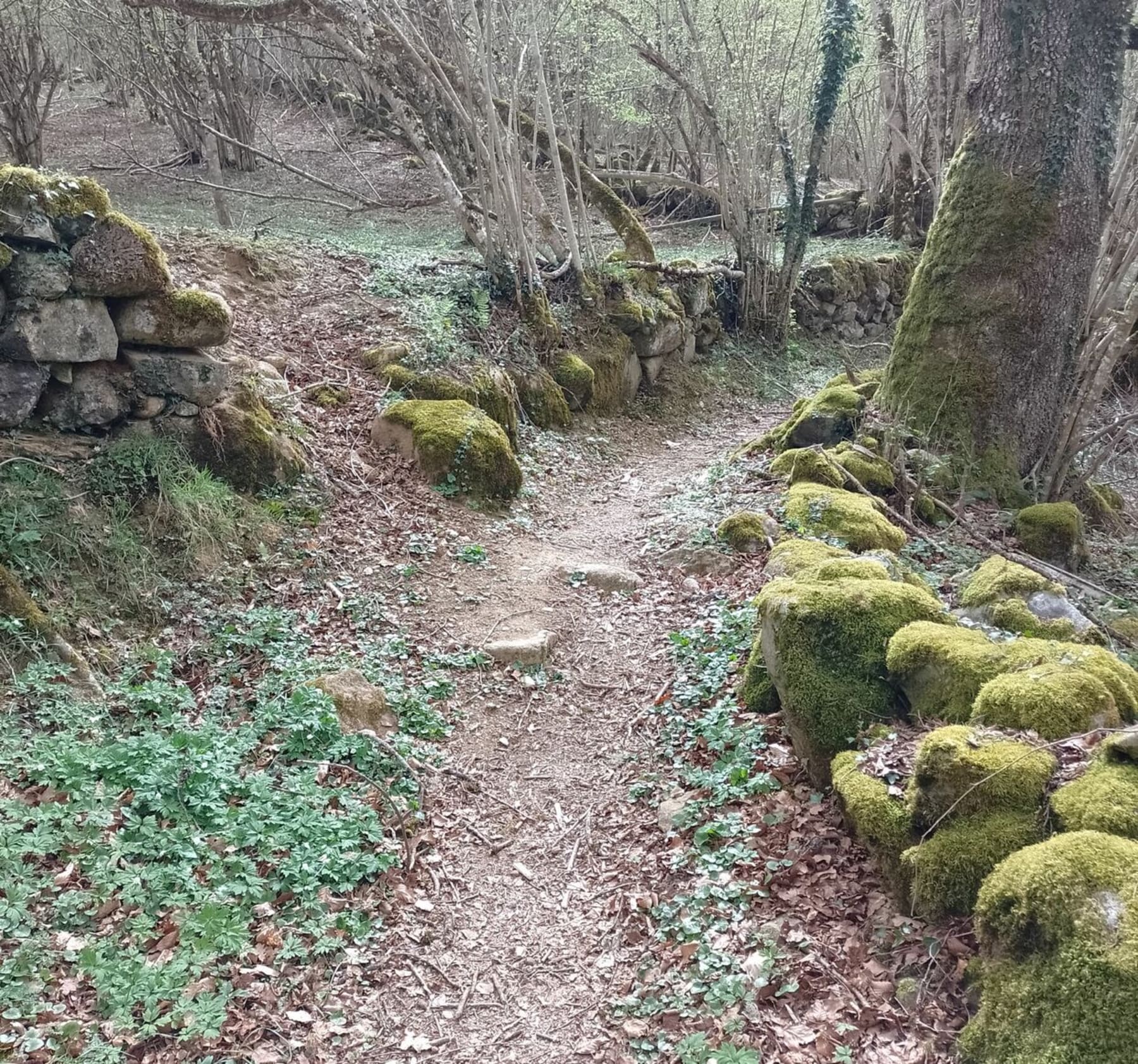 Randonnée Aulus-les-Bains - Cascade du Douillet et col d'Escot en partie