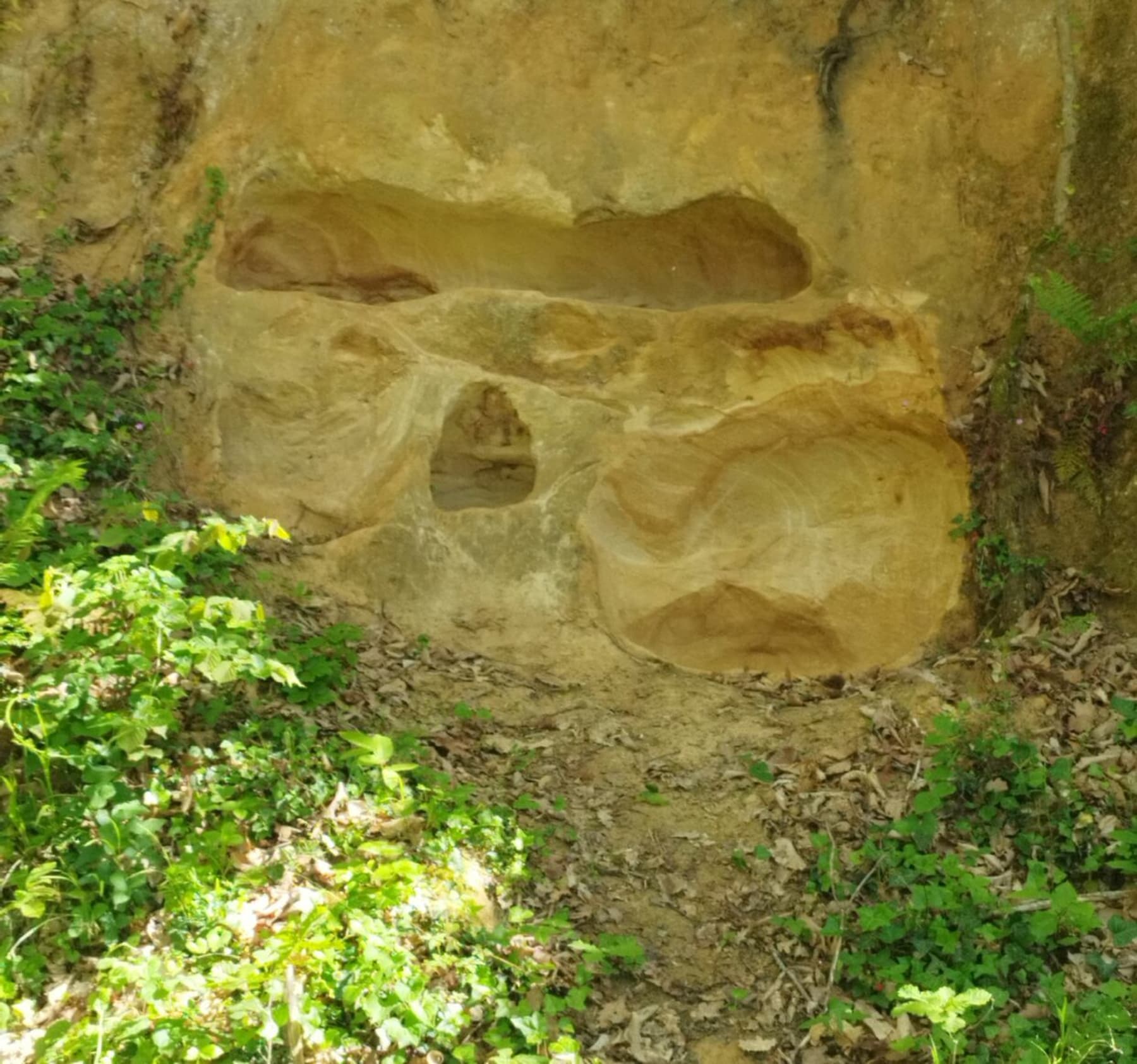 Randonnée Aurignac - Sentier du Friquet à Aurignac