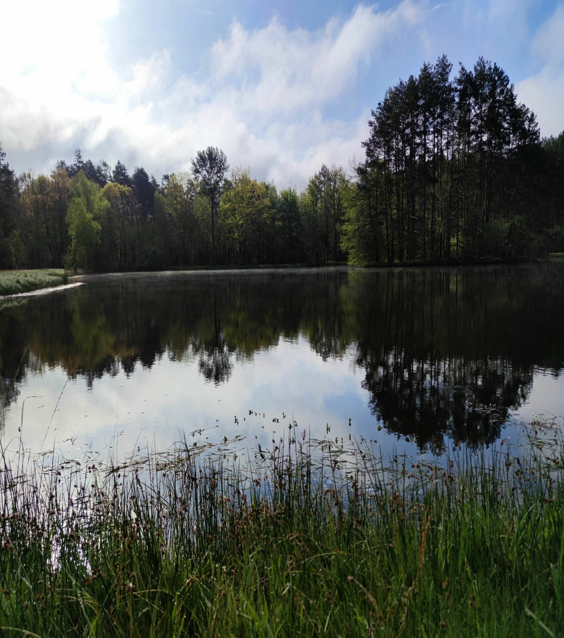 Randonnée Souesmes - Promenade en Sologne du côté de Souesmes