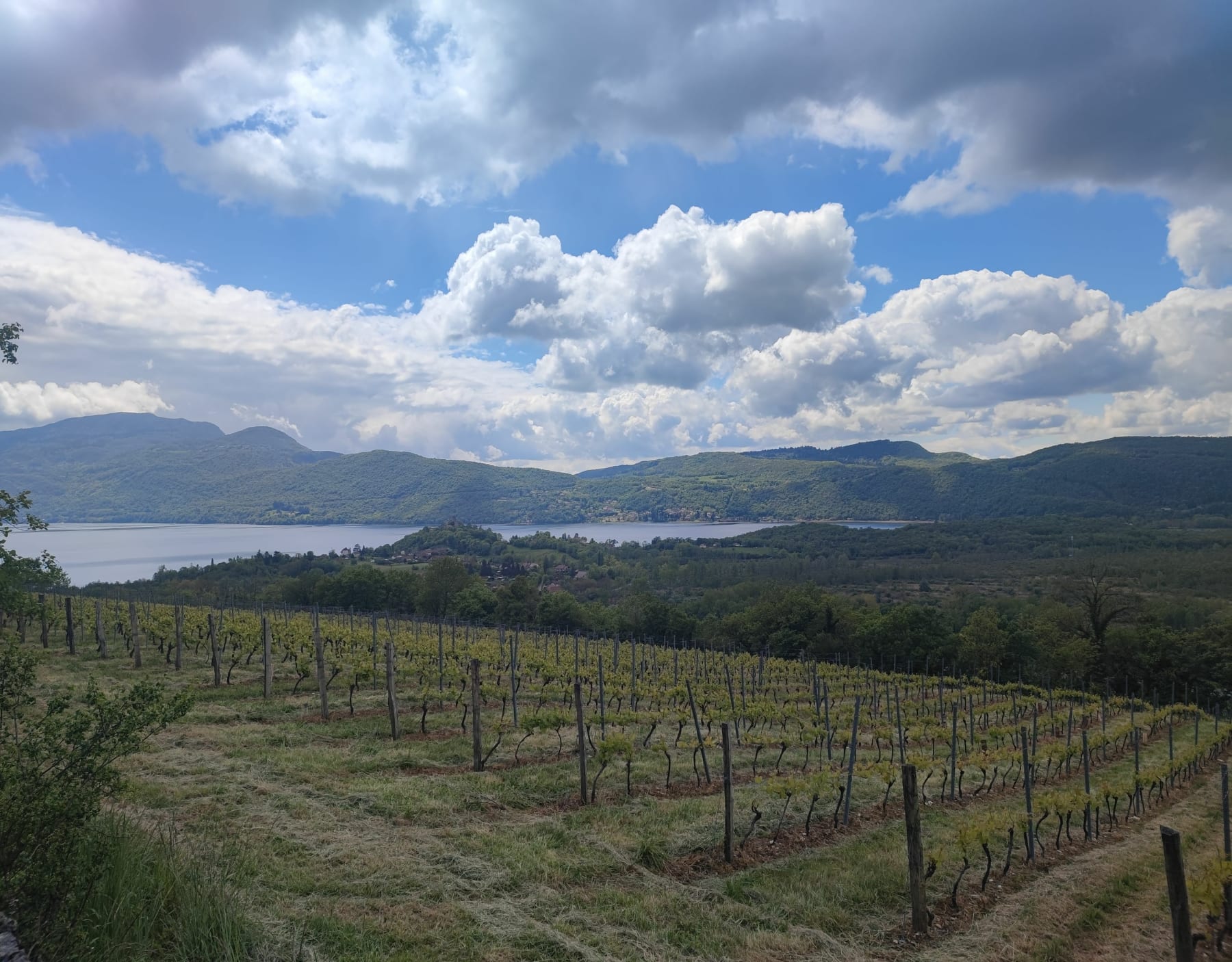 Randonnée Chindrieux - Circuit de la Rochetaillée depuis Chindrieux