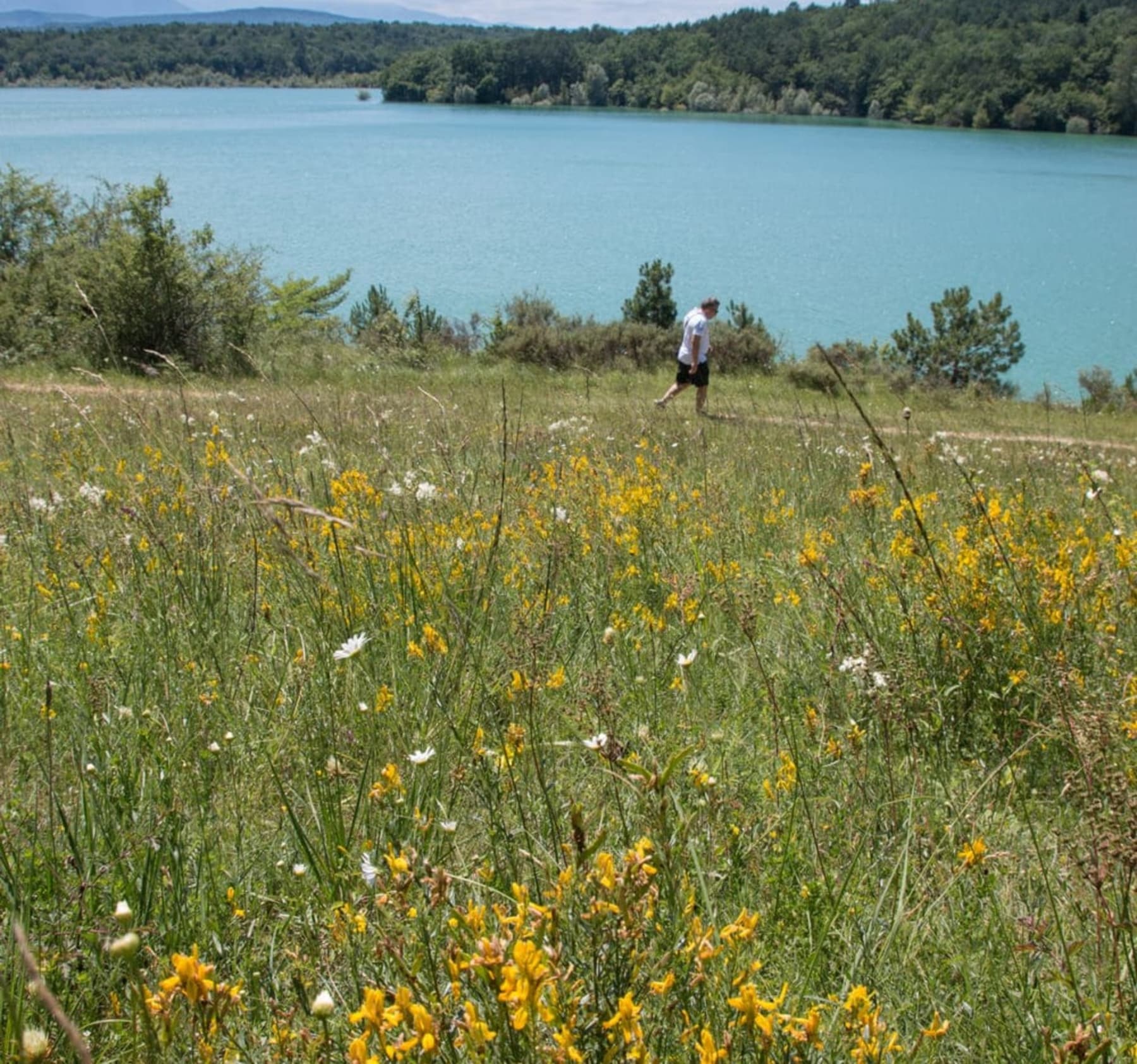 Randonnée Léran - Marcher tout autour du lac de Montbel