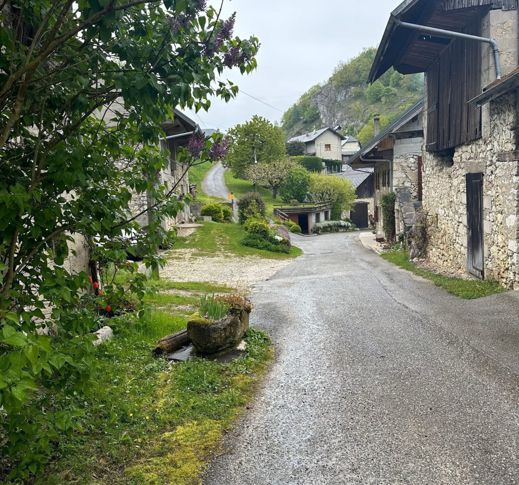 Randonnée Entrelacs - Balade autour de Saint-Germain-la-Chambotte