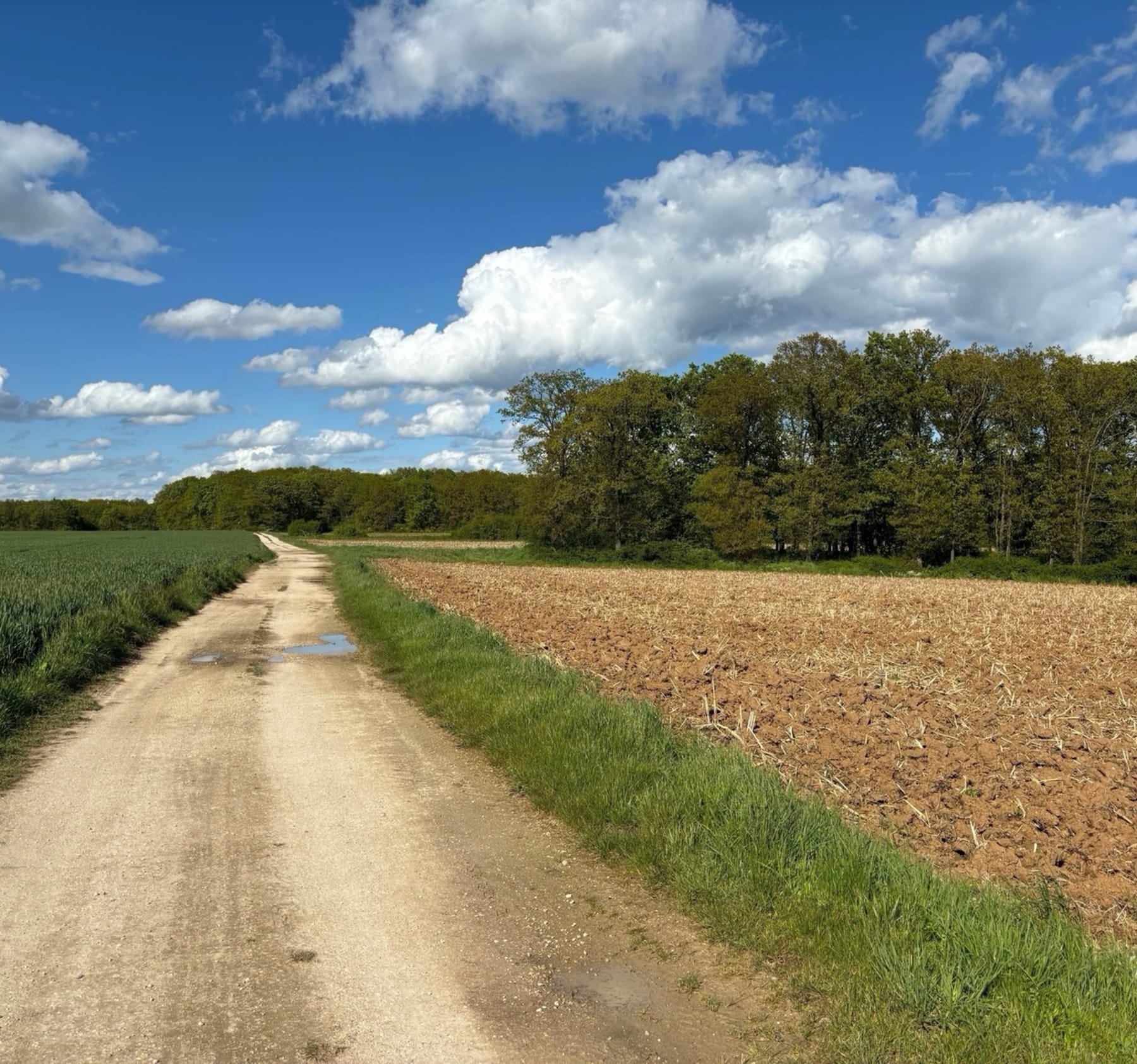 Randonnée Maintenon - Balade autour de Pierres